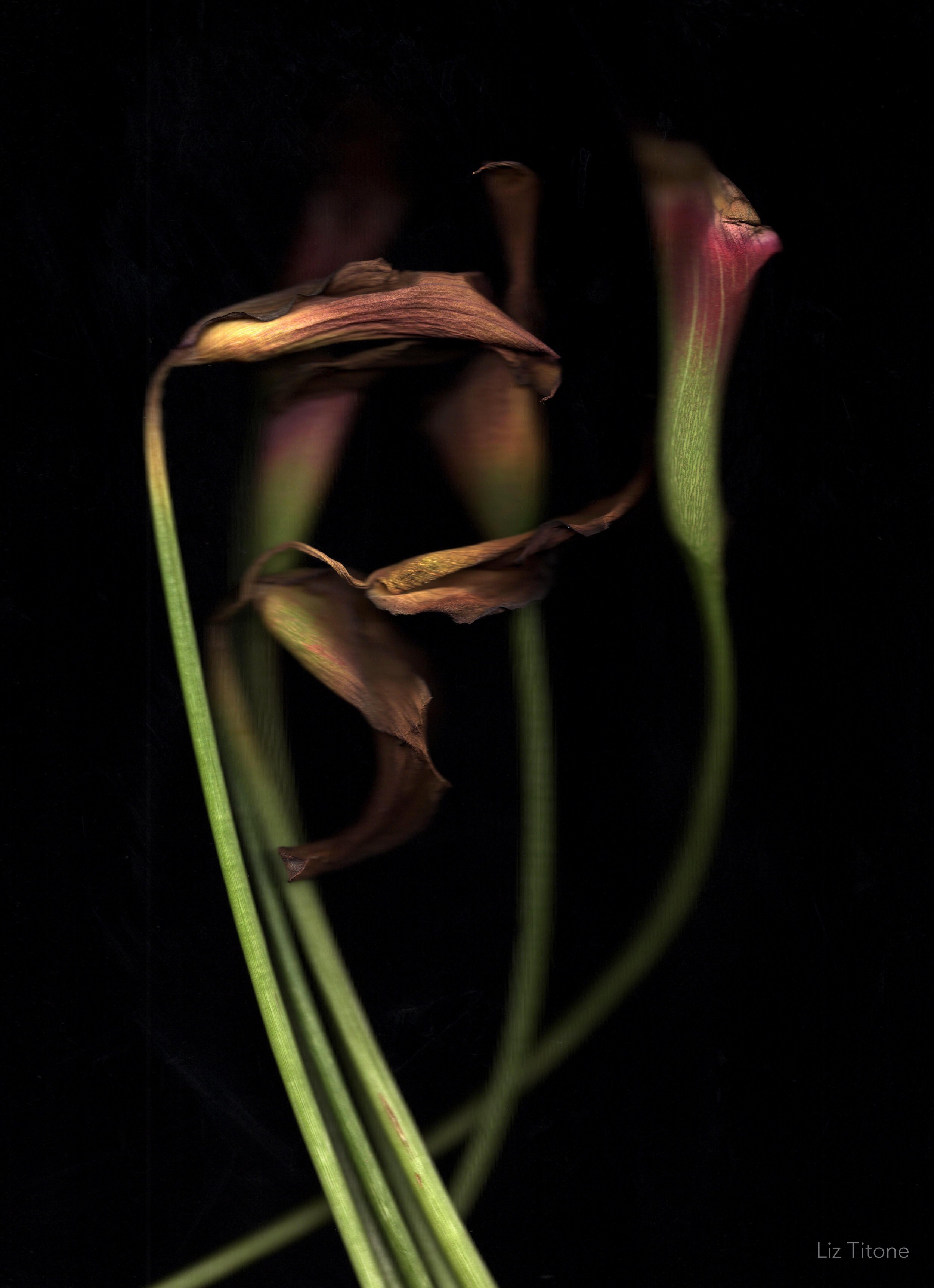 For Karen - BK - ret copy.jpg