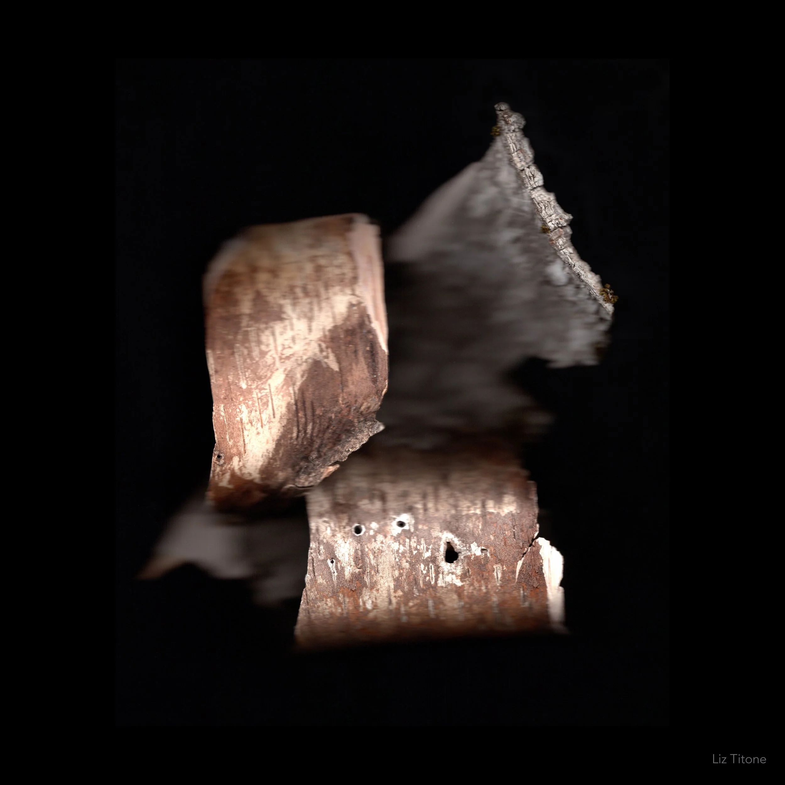 Titone - Faculty 24 - stills - 5 copy.jpg