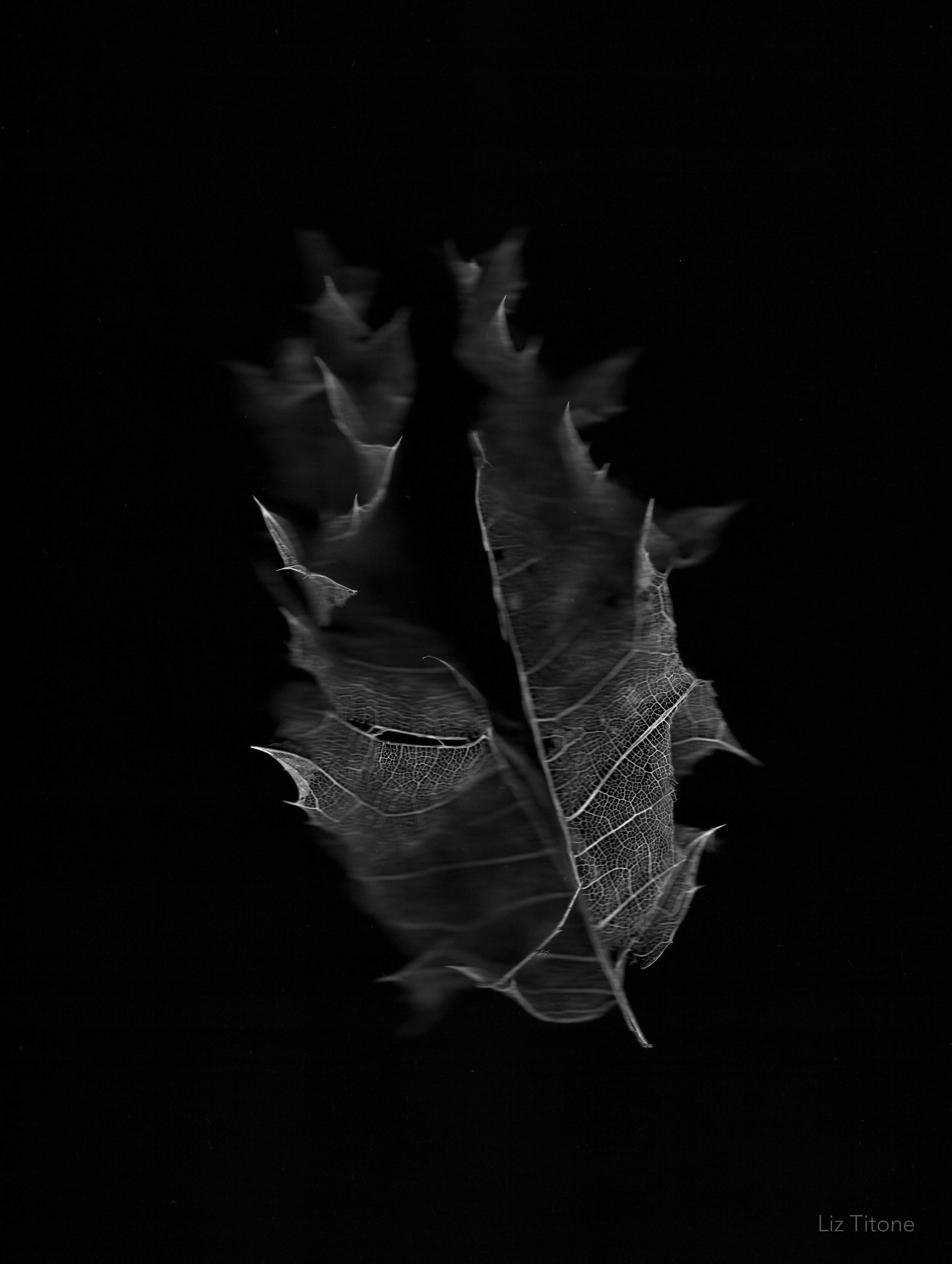 LT - SL22 Lambeth.jpg