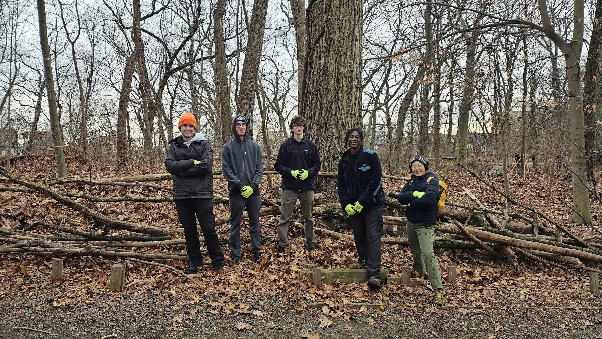 2/7 Forest Park Winter Vine Sweep 