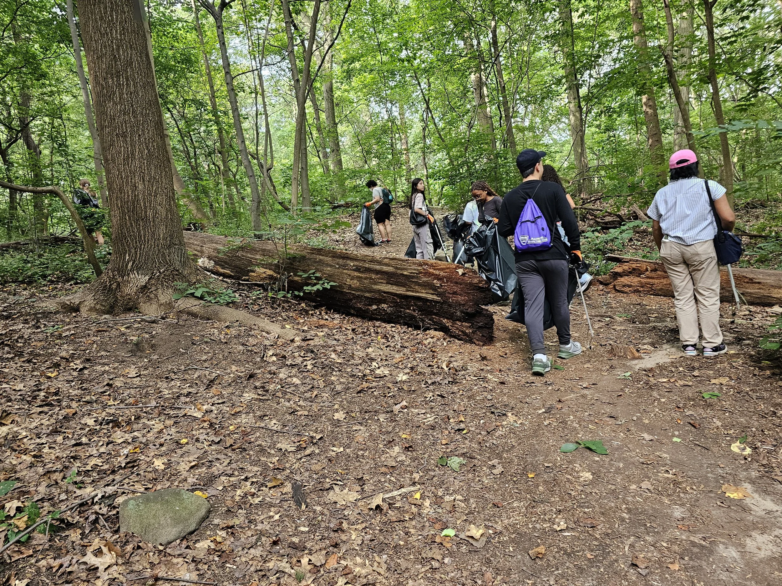 Birding with the Queens County Bird Club