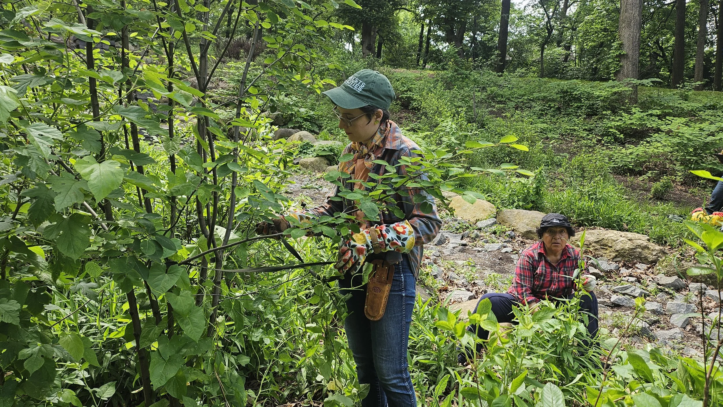 5/9 Vernal Pool Restoration at Highland Park