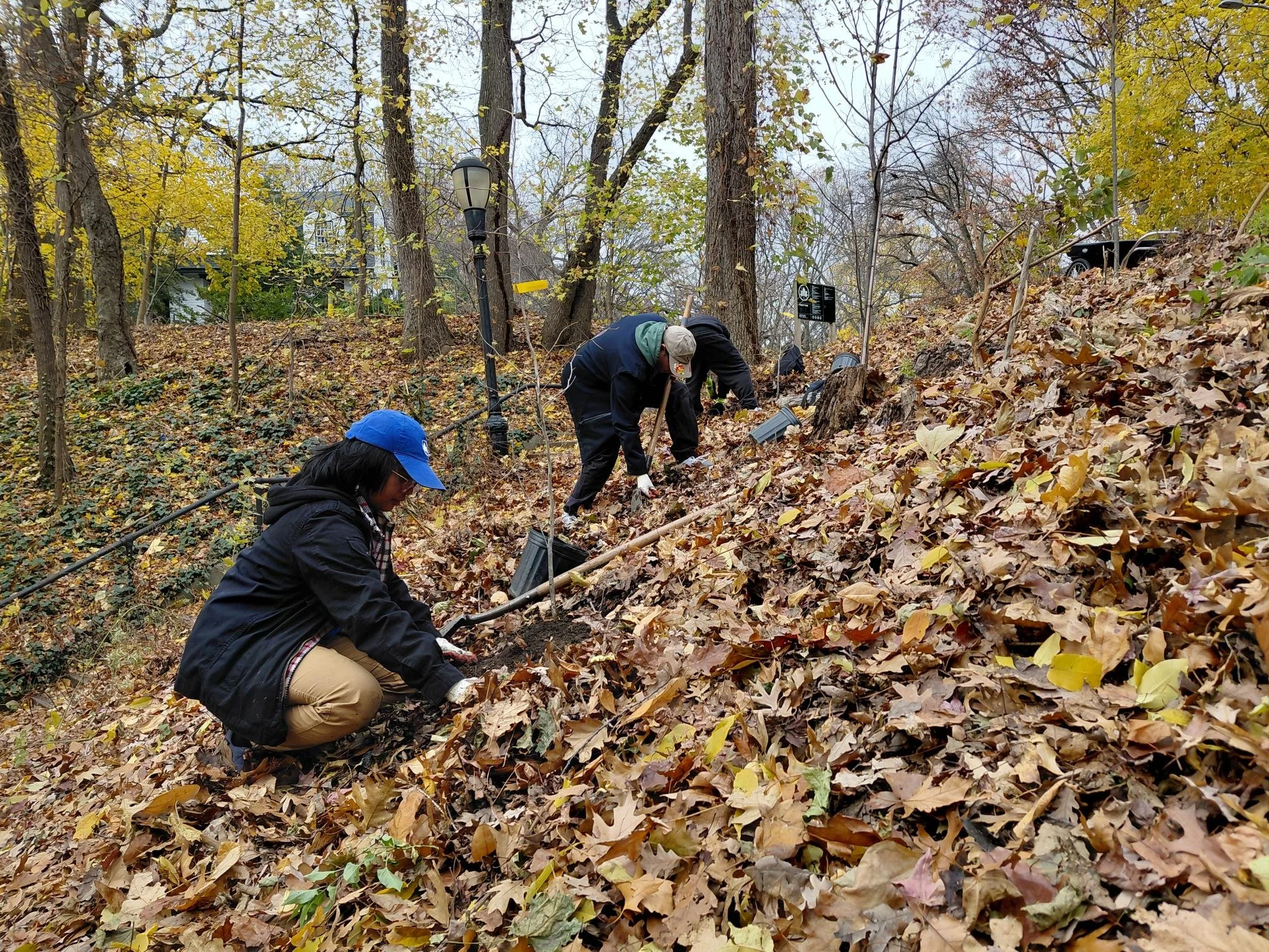 Forest Park Arbor Day Planting at Oak Ridge