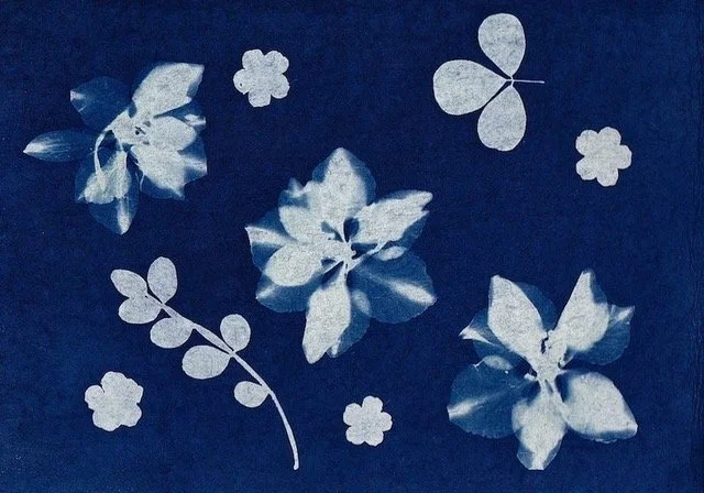 Spring Kids Arts in the Park at Dry Harbor Playground - Cyanotype