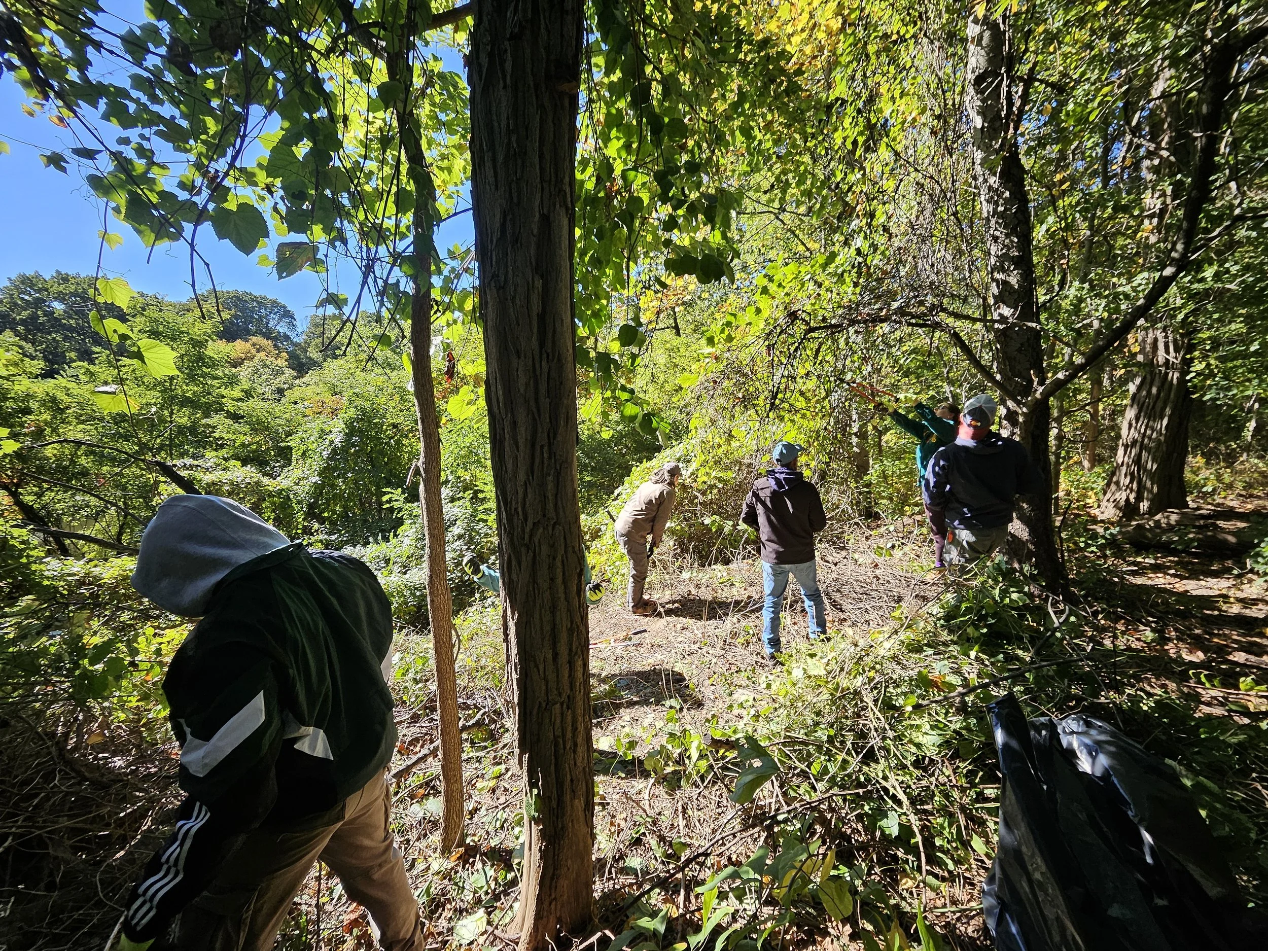 6/27 Forest Park Hike and Pick - Yellow Trail 