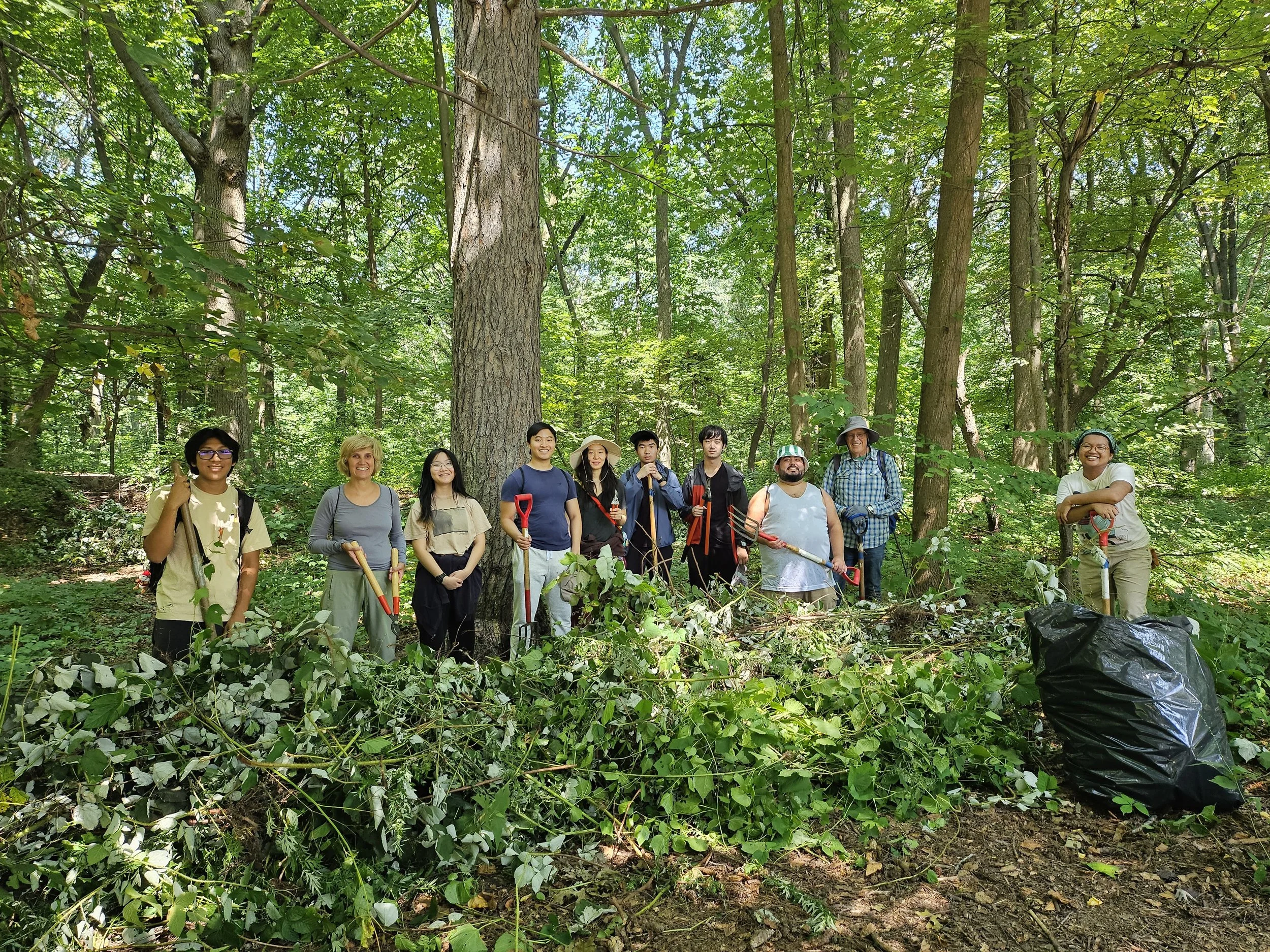 City of Forest Day: Forest Restoration Walk