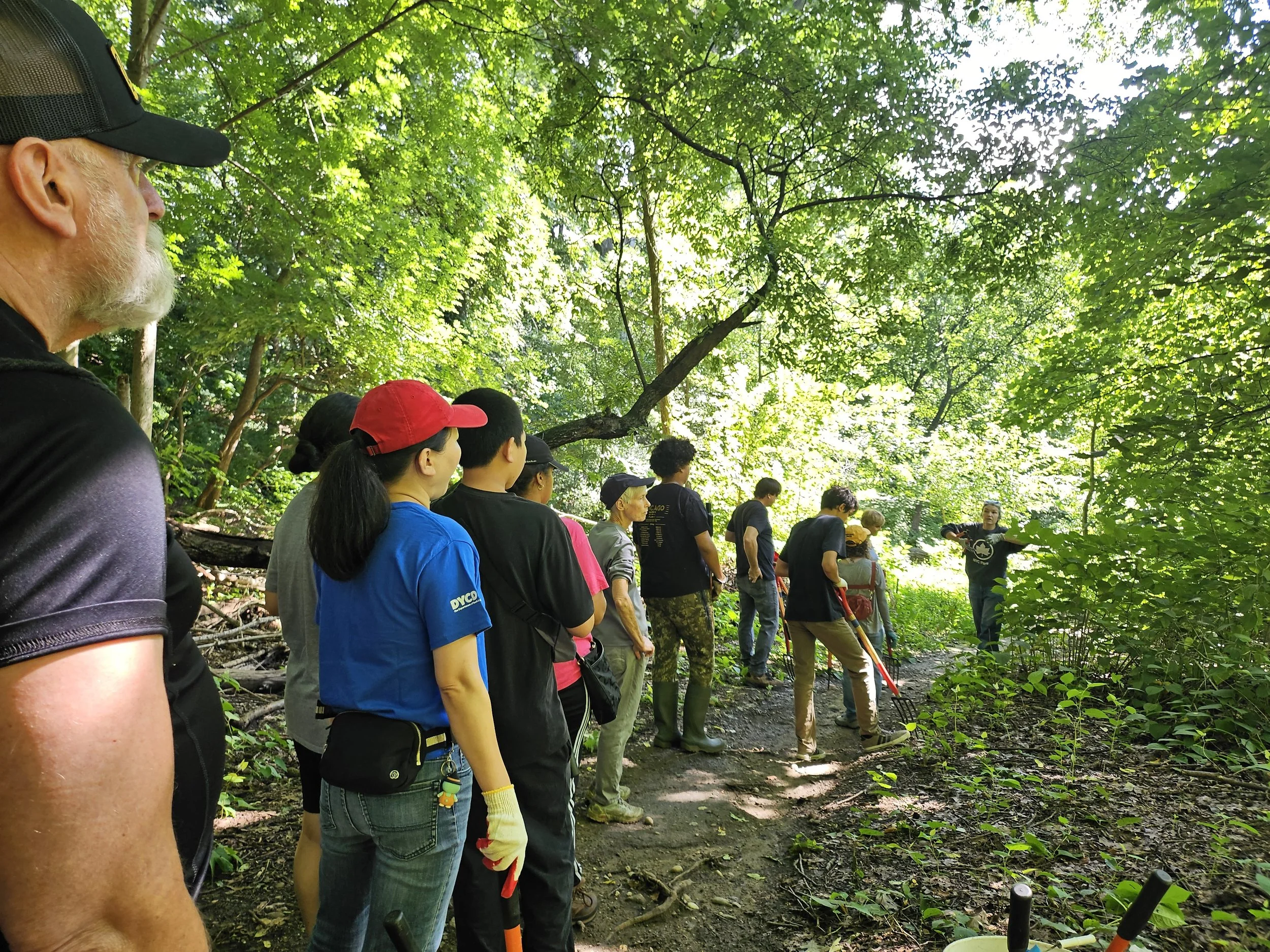 10/30 Restoration Fridays at Forest Park