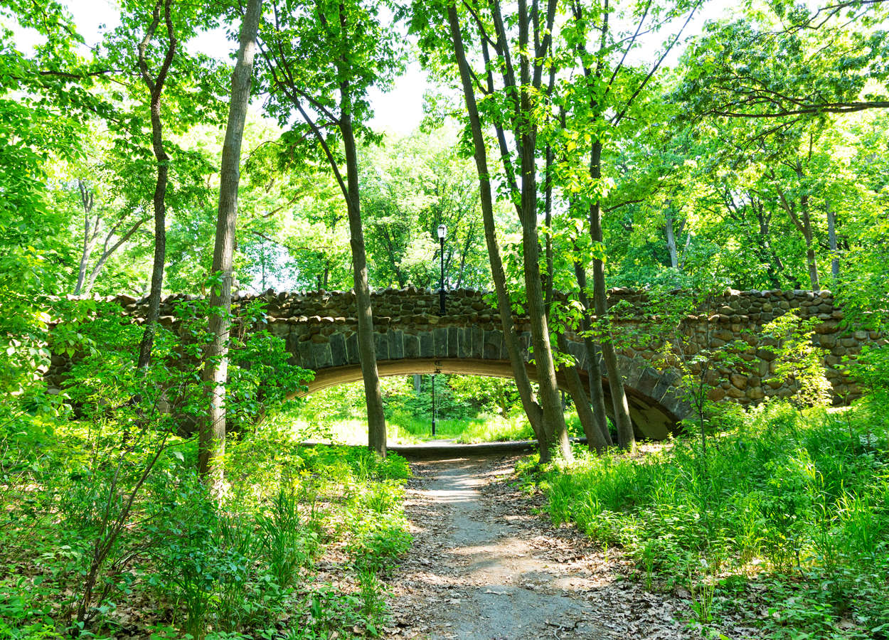 Highland Park — The Forest Park Trust