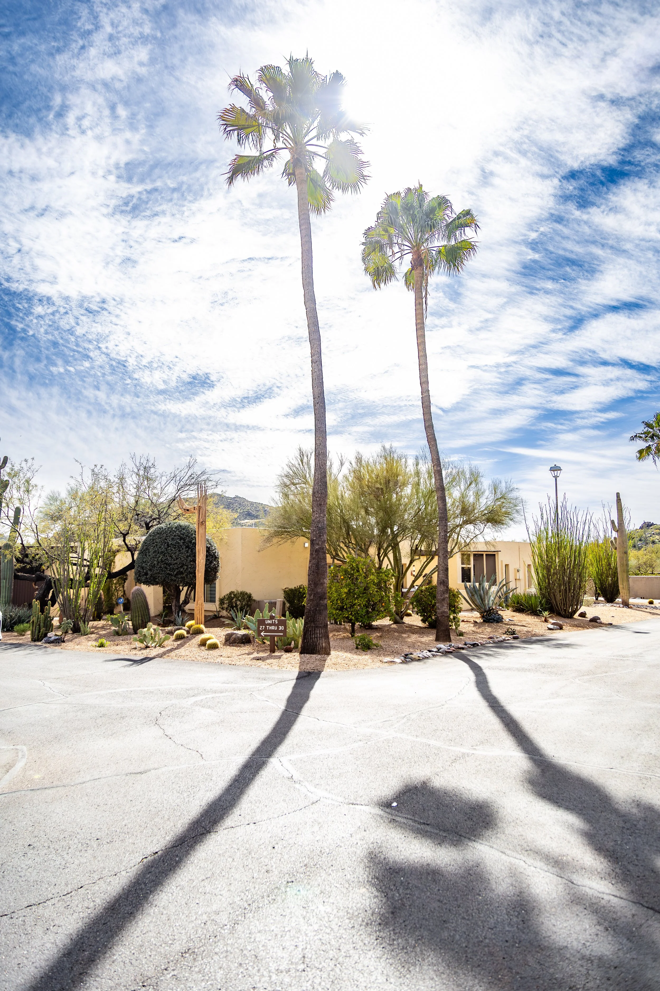 Portrait Landscape 54 House-.jpg