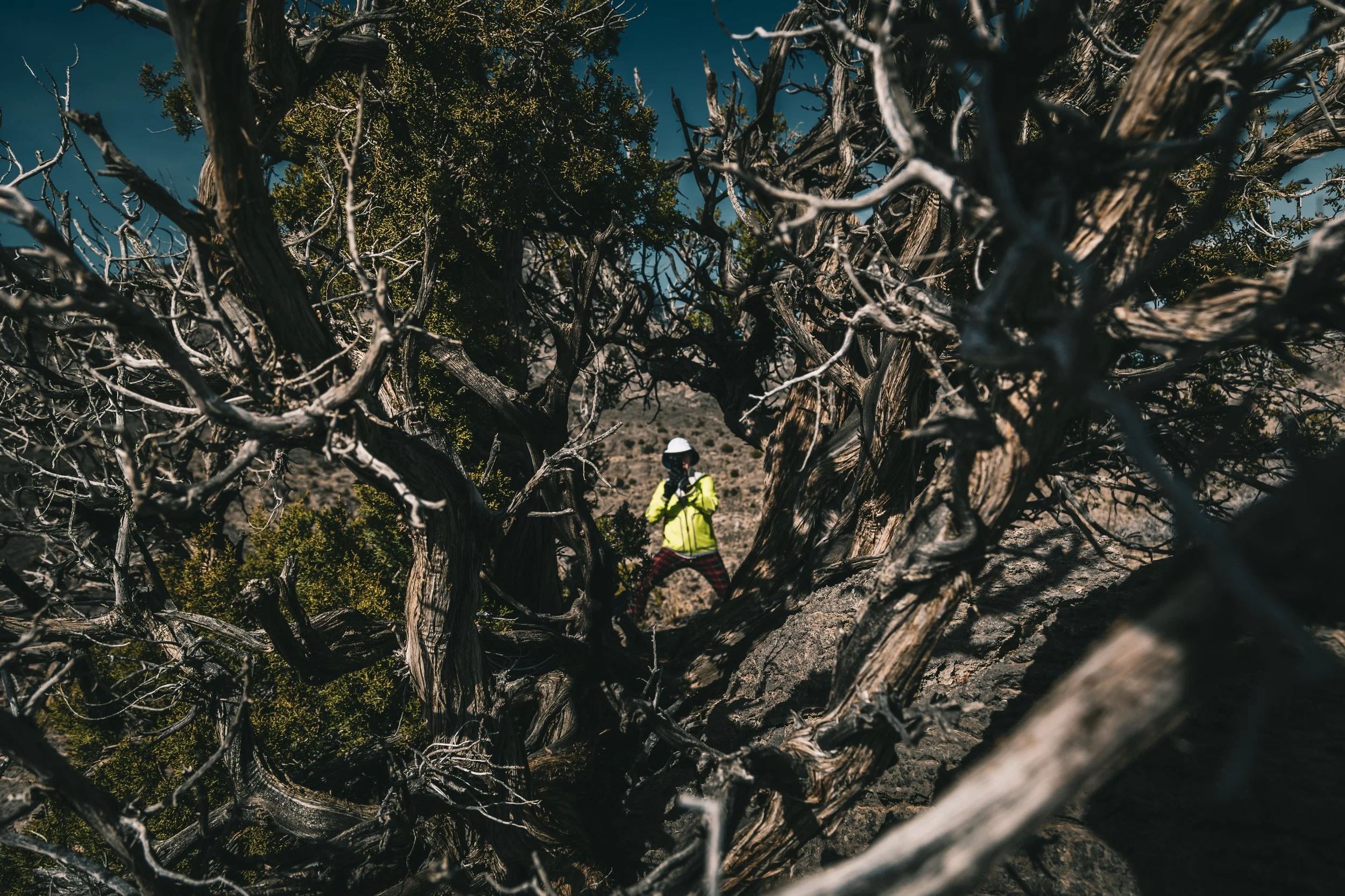 Postcard 149 Eugene through bus-5949.jpg