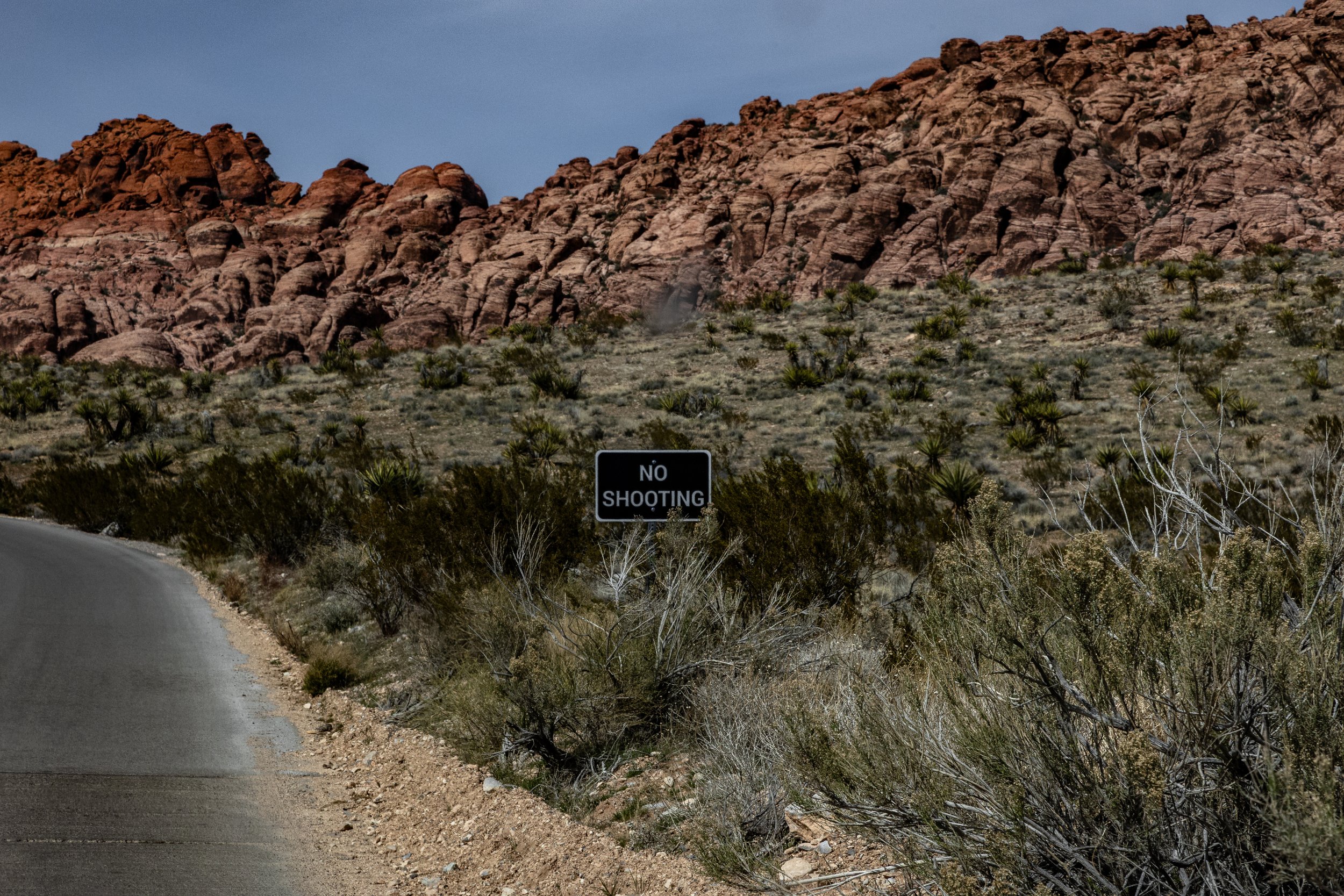 Postcard 141 No shooting-5817.jpg