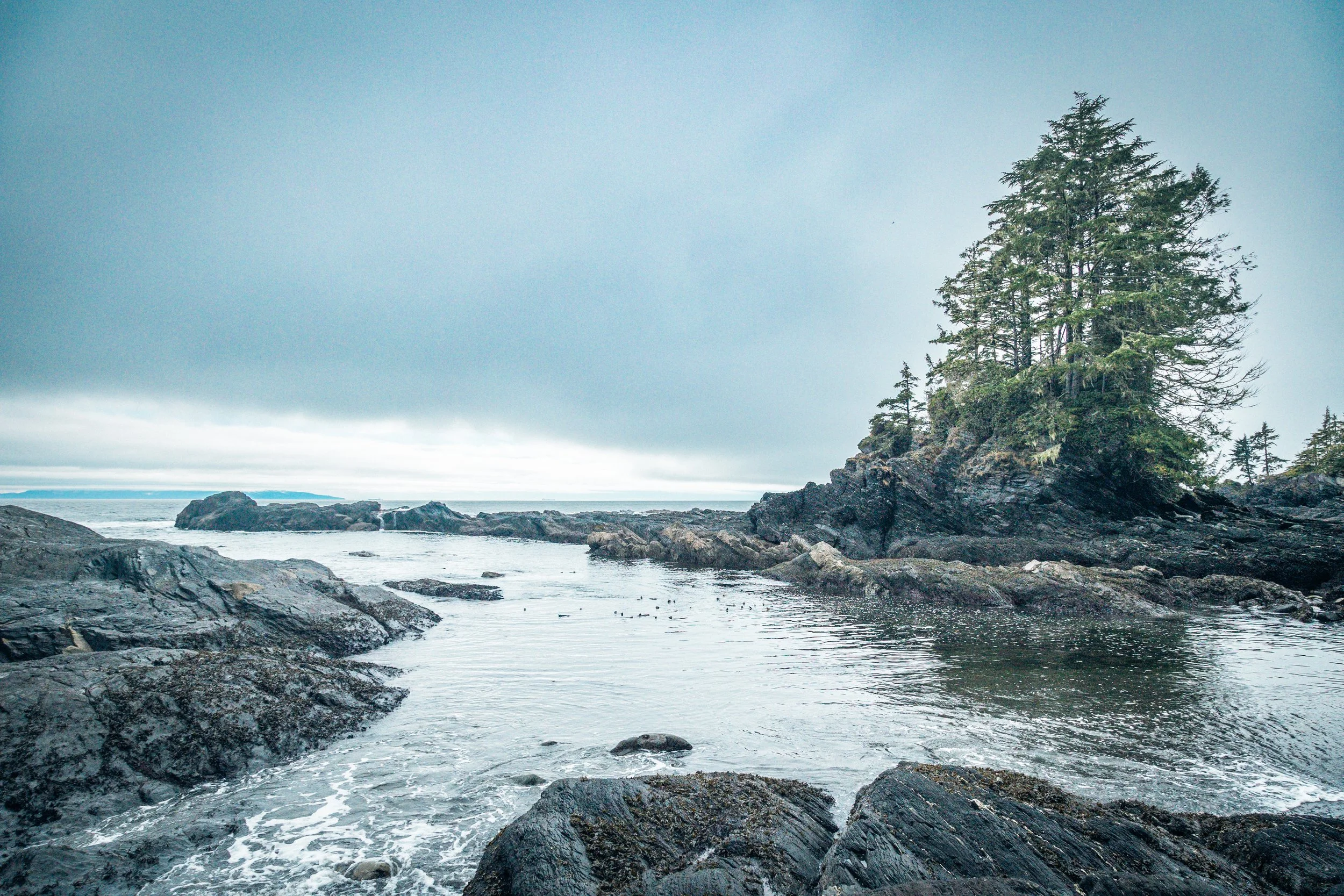 BOtany Bay4-5982.jpg