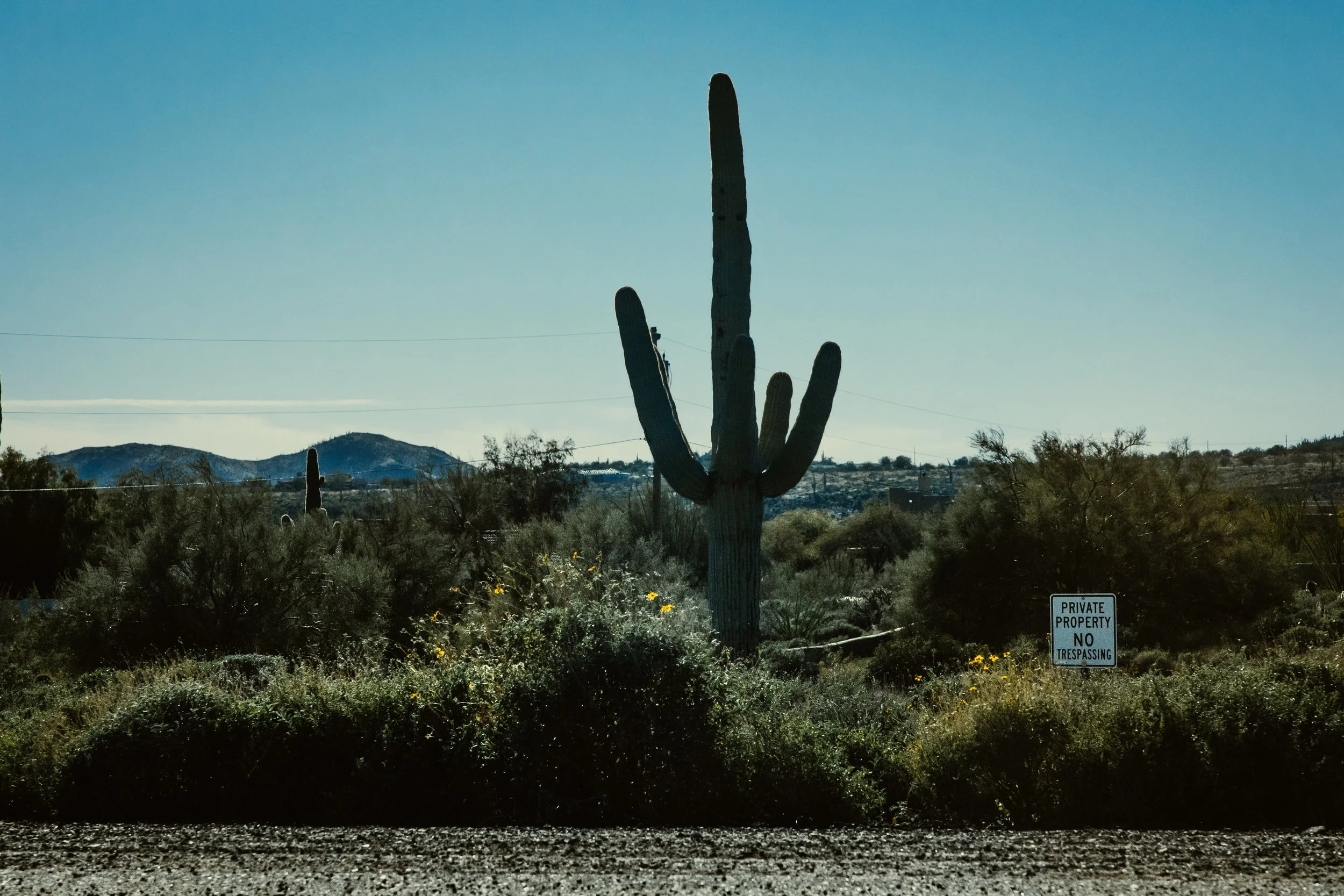 Landscape Arizona 5-4168.jpg