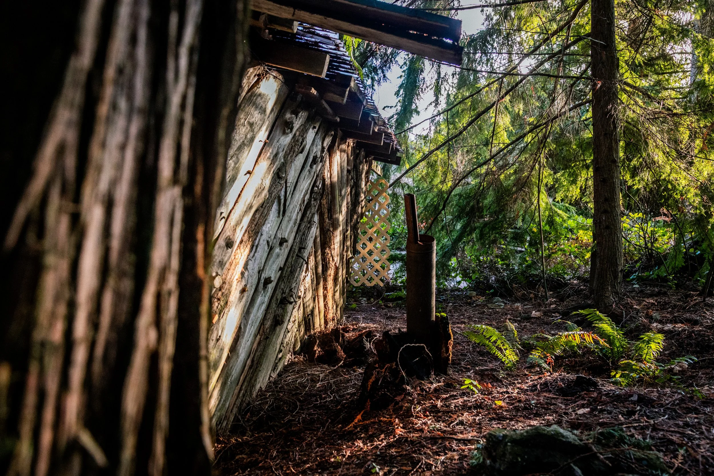 Martindale Behind the wood shed 2-6537.jpg