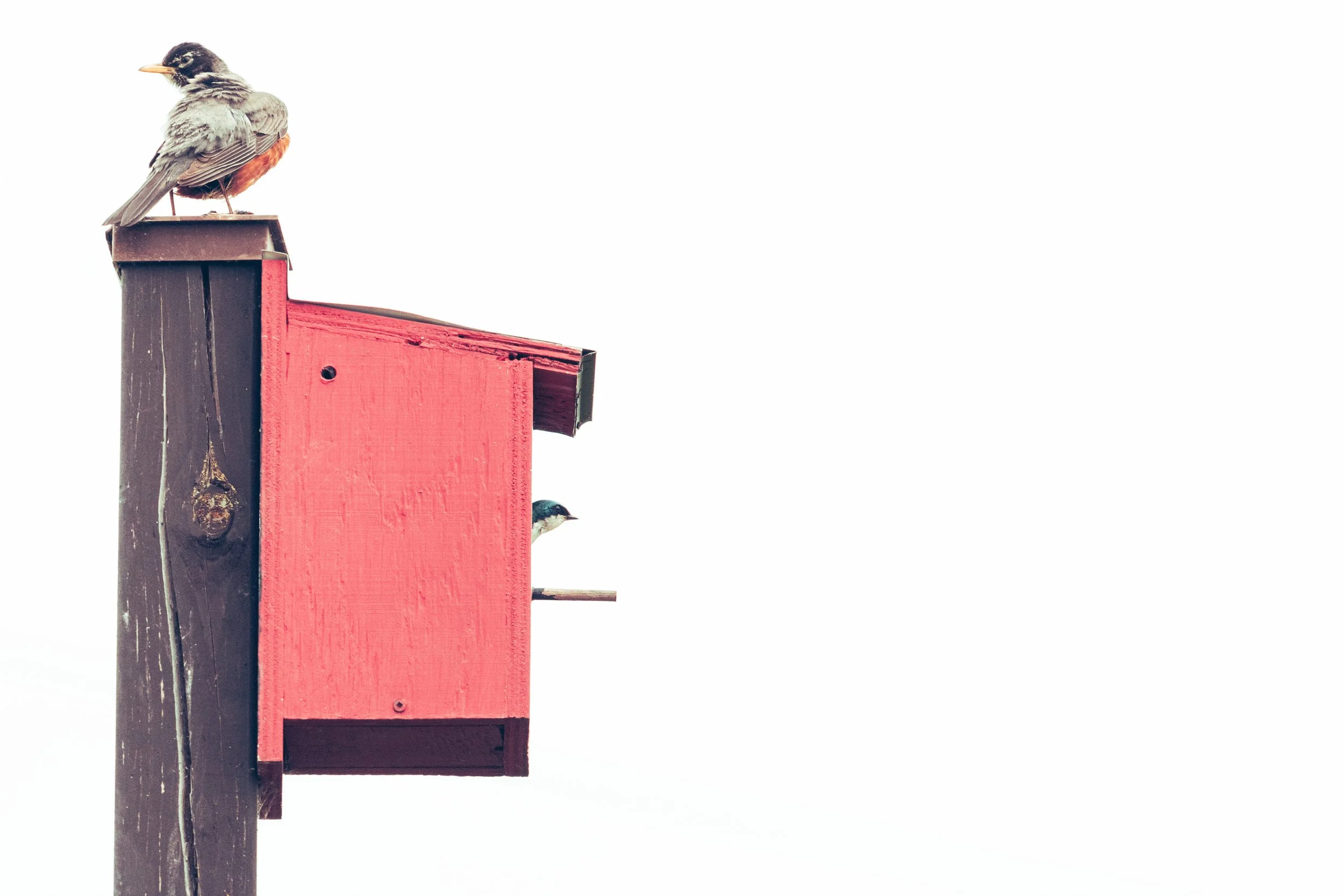 !* Where did he go.JPG