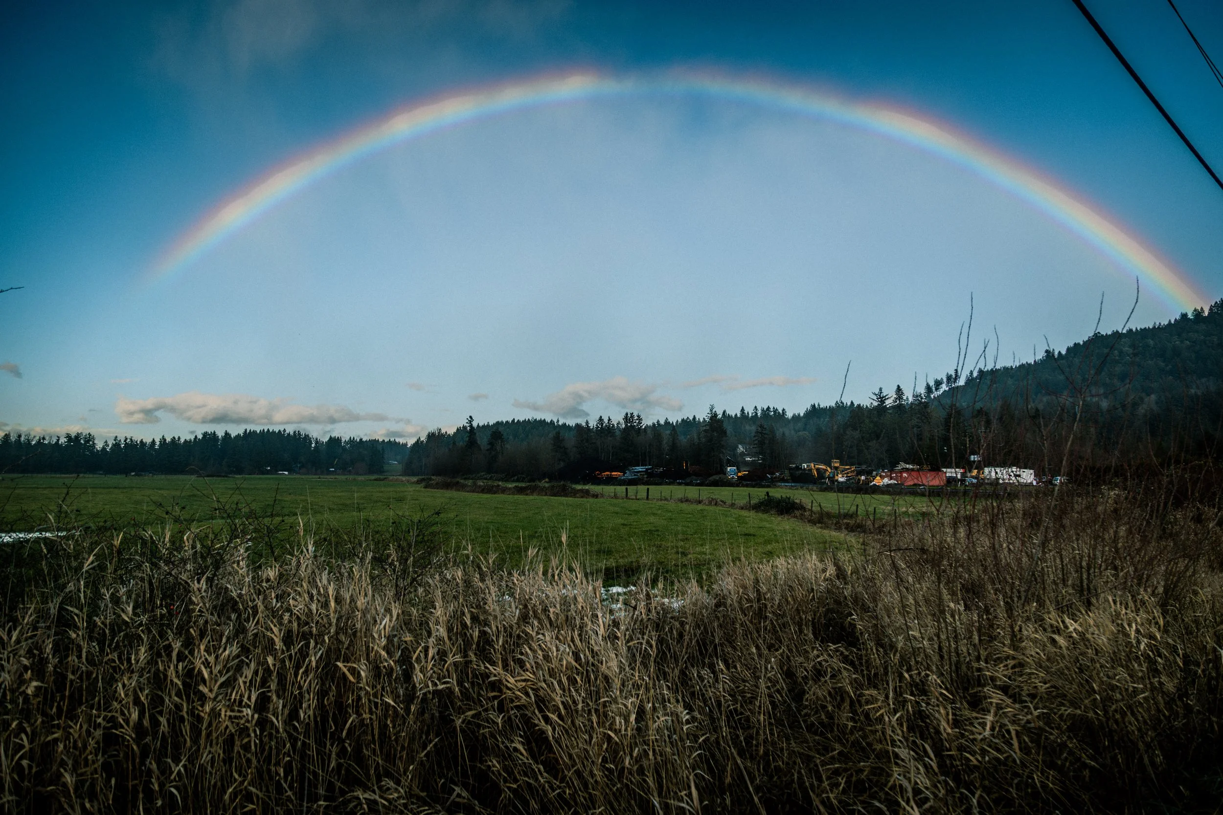 Chemainus Rainbow 12-6419.jpg