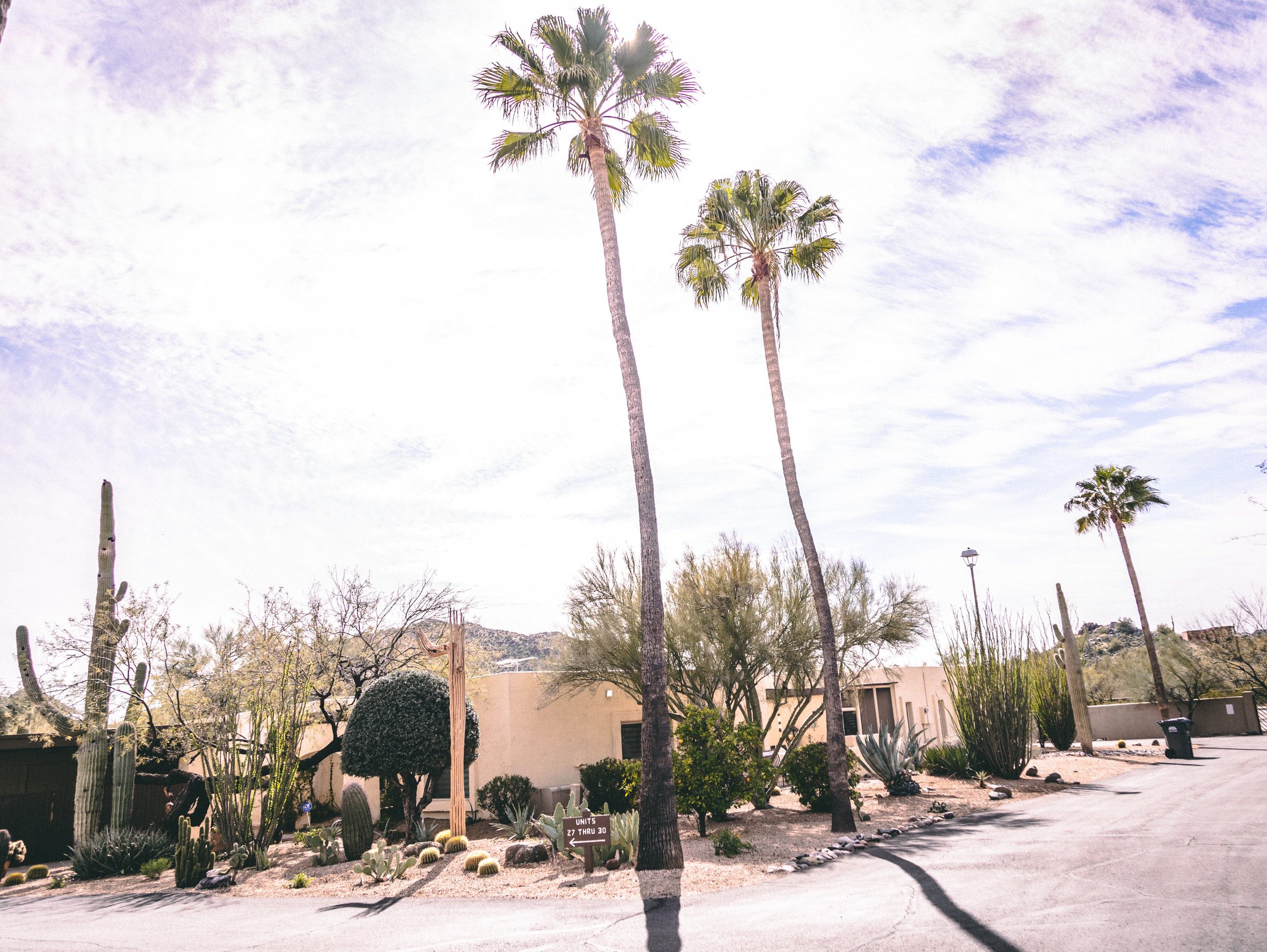 Portrait Landscape 63 House-4630.jpg