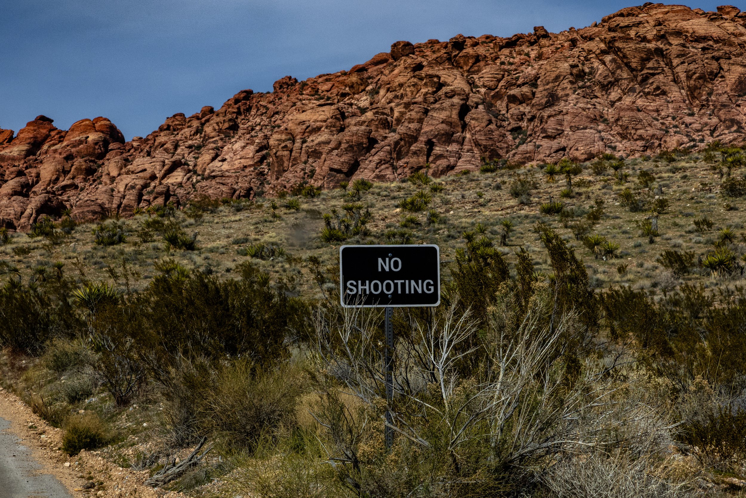 Postcard 142 No shooting-5818.jpg