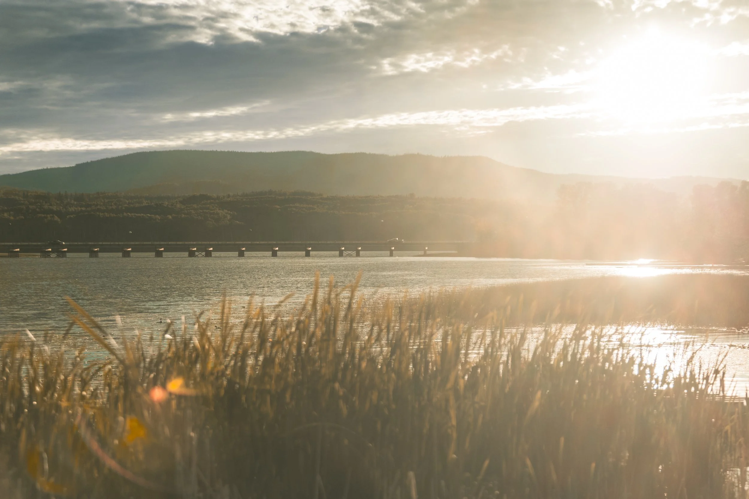 Landscape Burns-0046.jpg