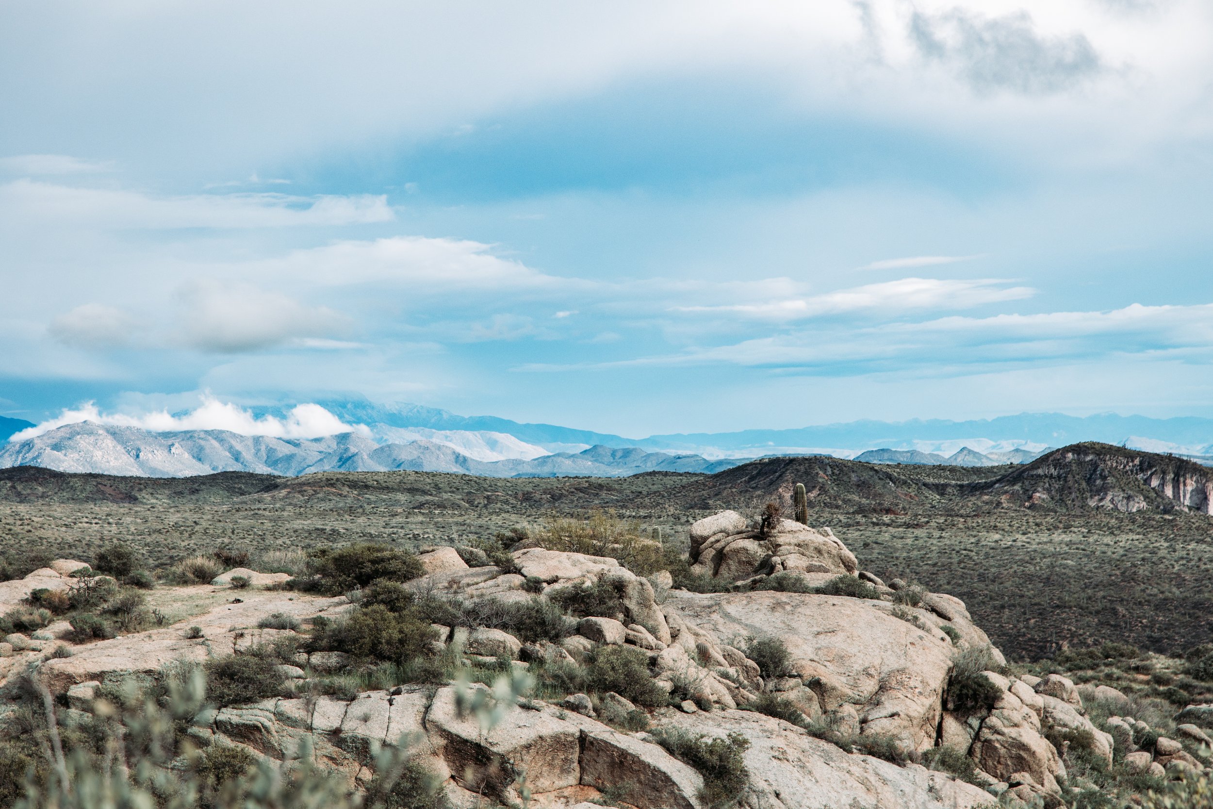 Postcard 116-5503.jpg