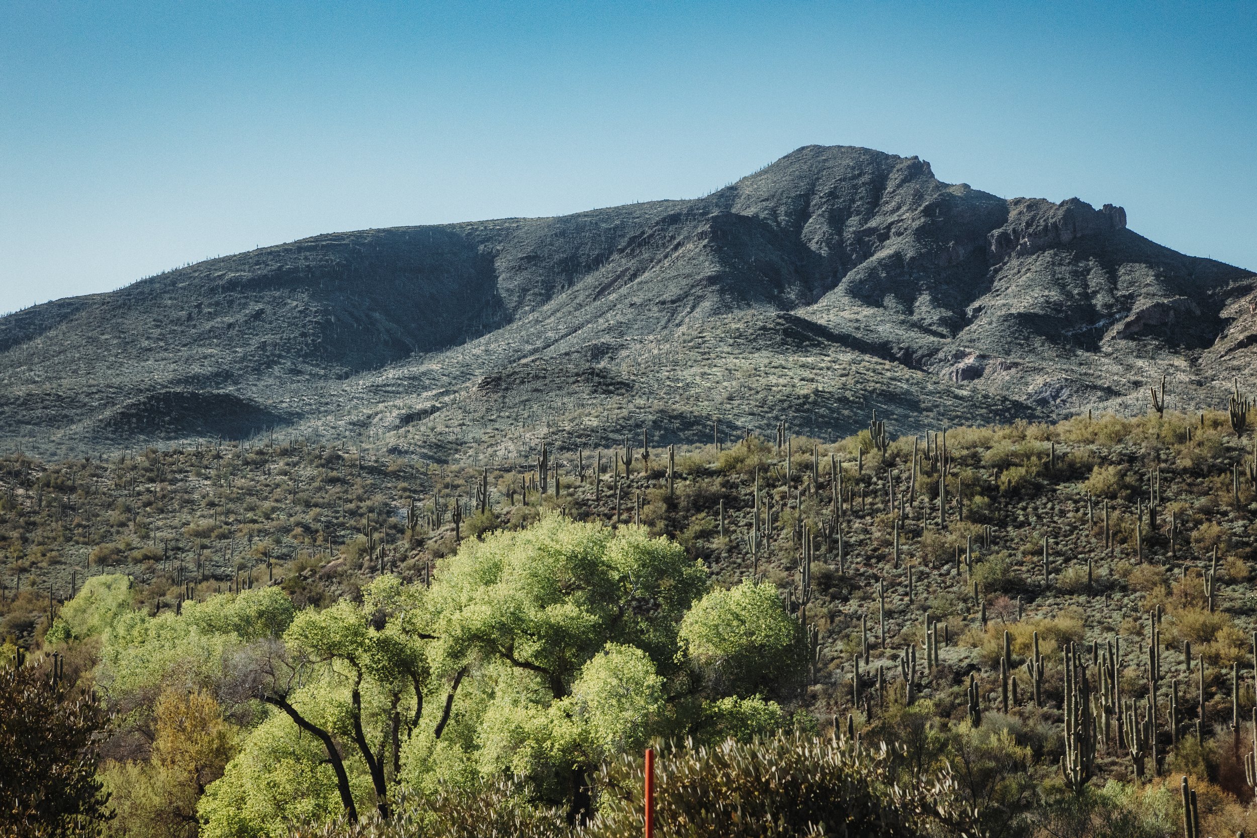 Landscape Arizona 6-4190.jpg