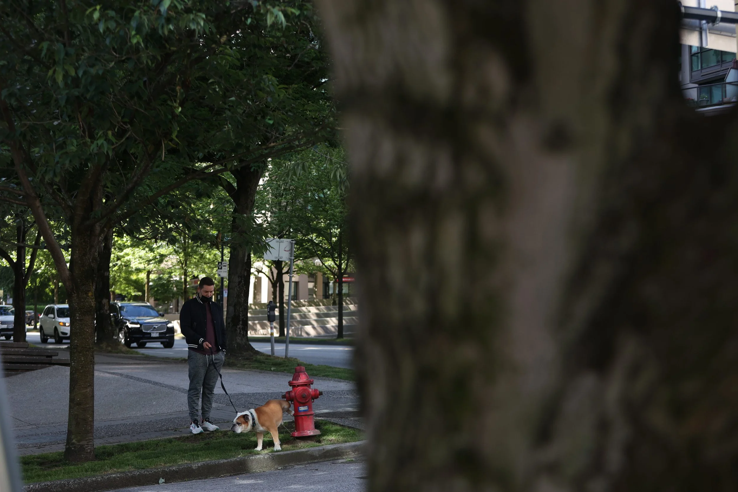 Bullodog Fire Hydrant - Lift and release.JPG