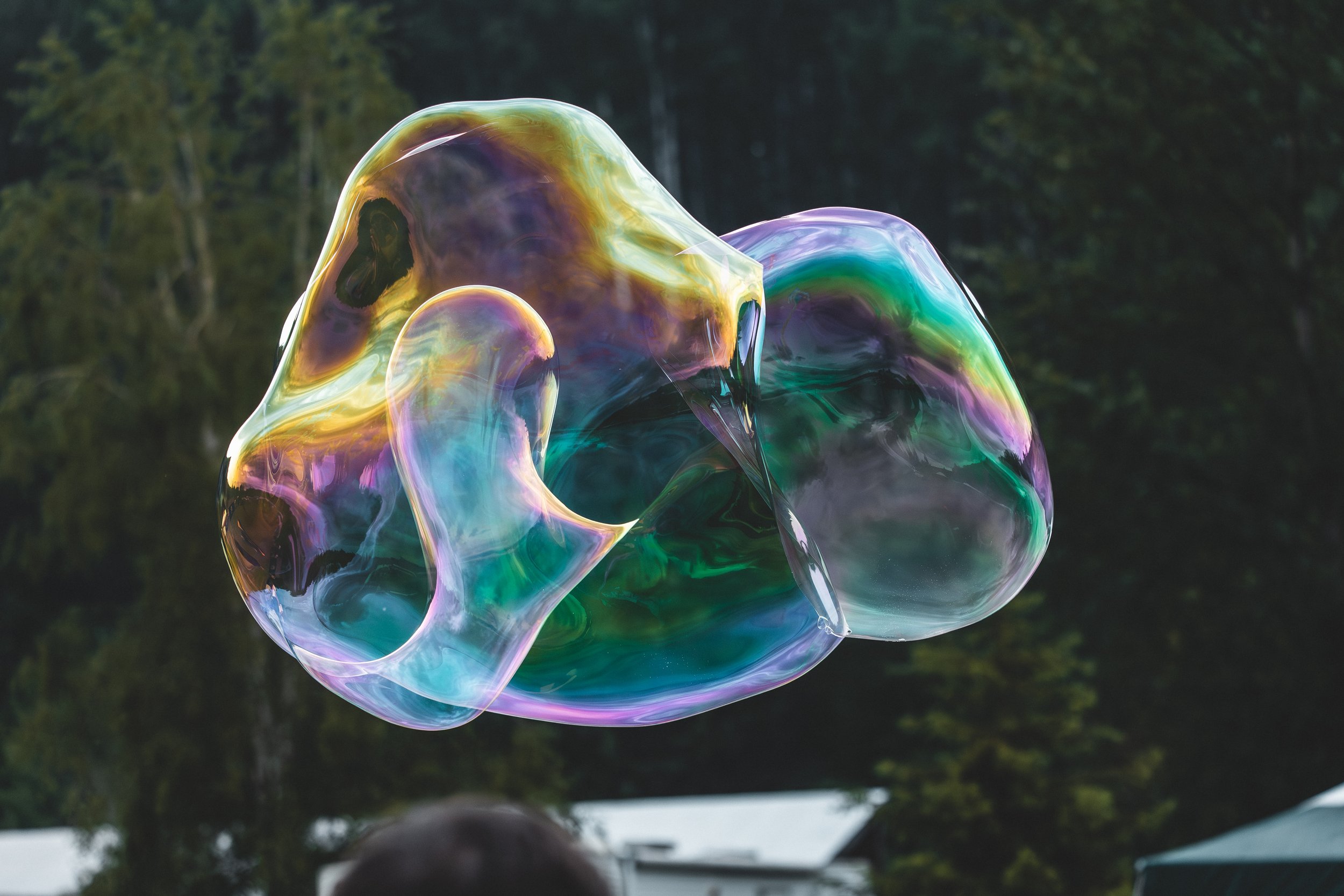 North Country Fair - Twisted bubble-5965.jpg