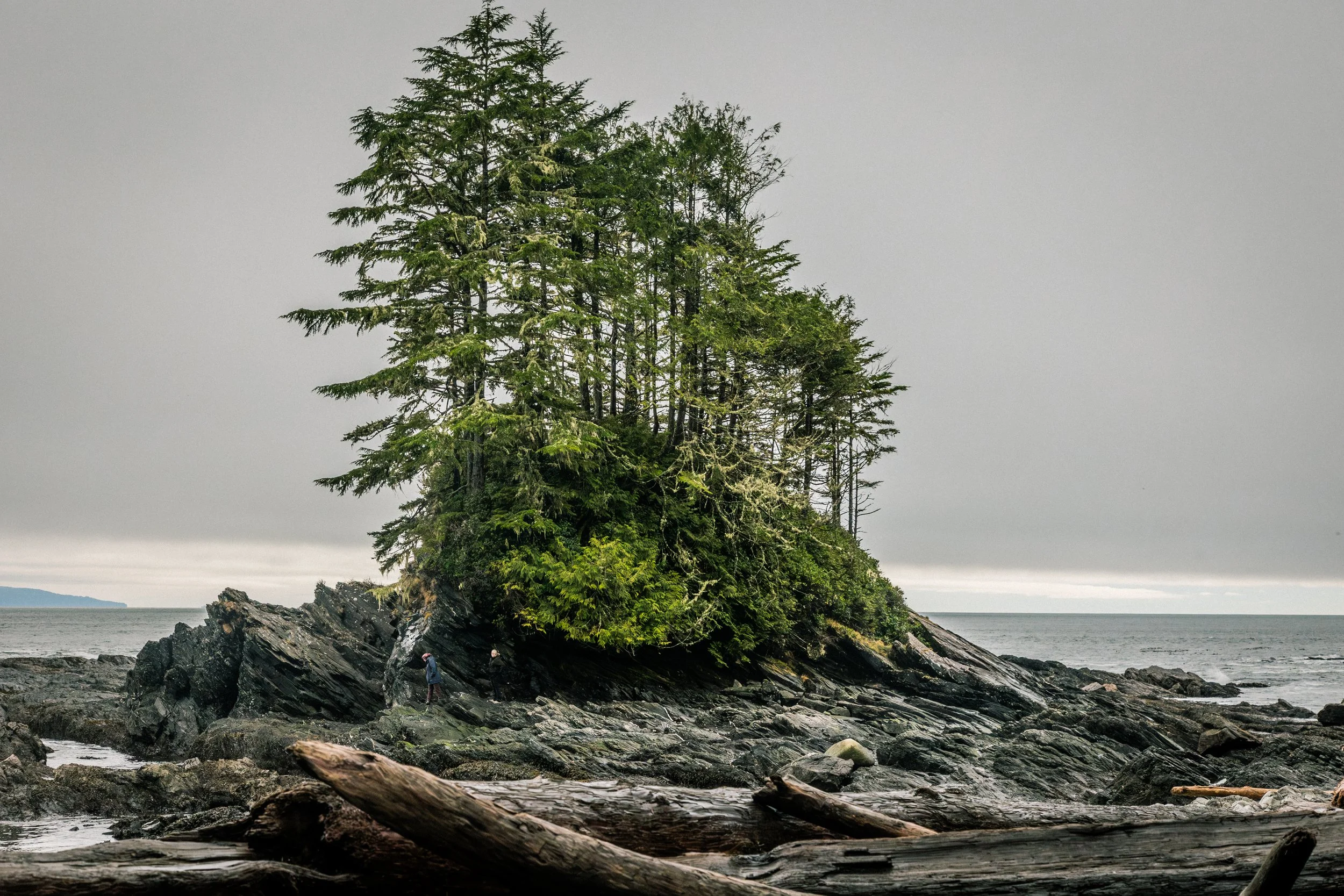 Beach Scene3 Botany Bay NE MOMENT -5953.jpg