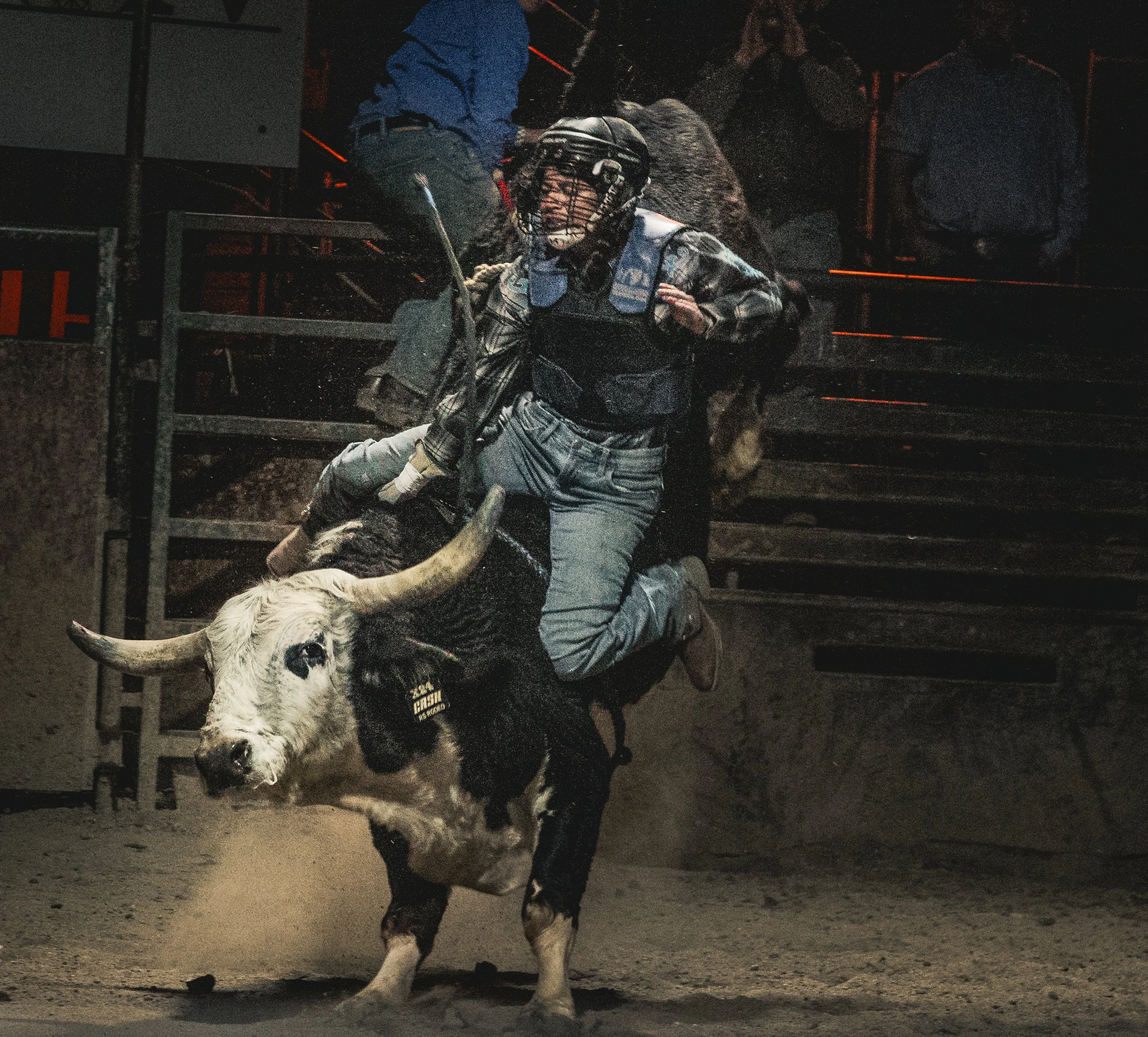 Bull Rider 7-5143.jpg