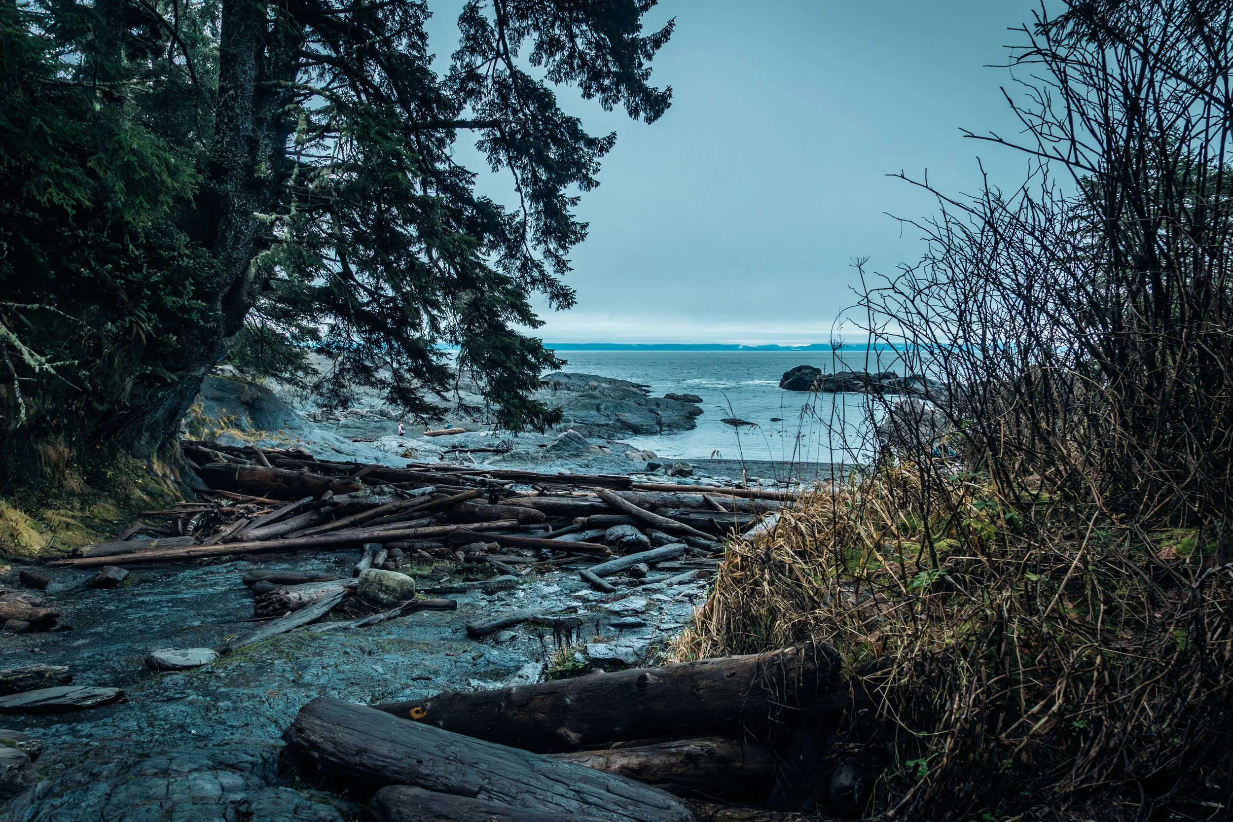 Beach Scene NE MOMENT -5947.jpg