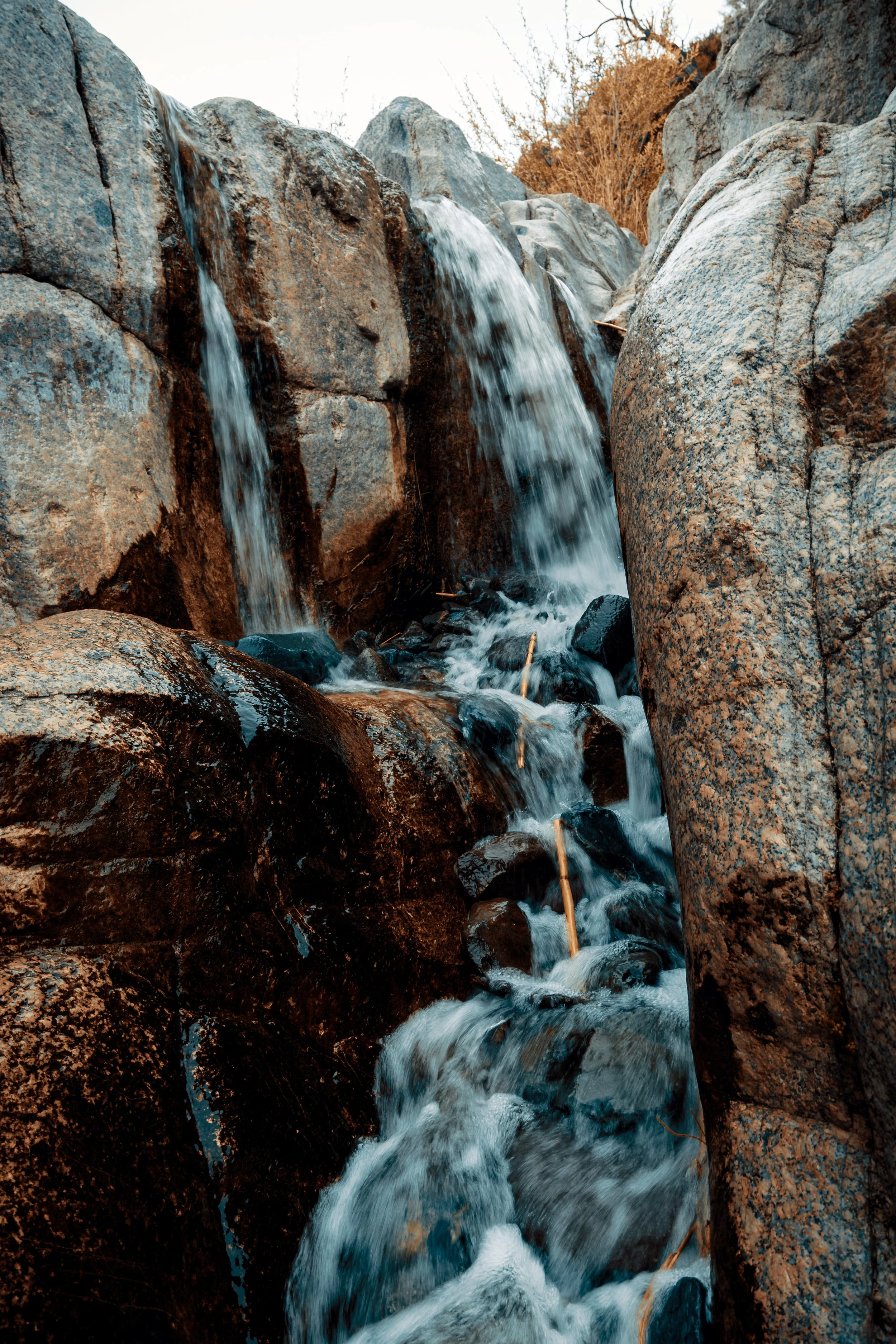 Postcard 112-5449.jpg