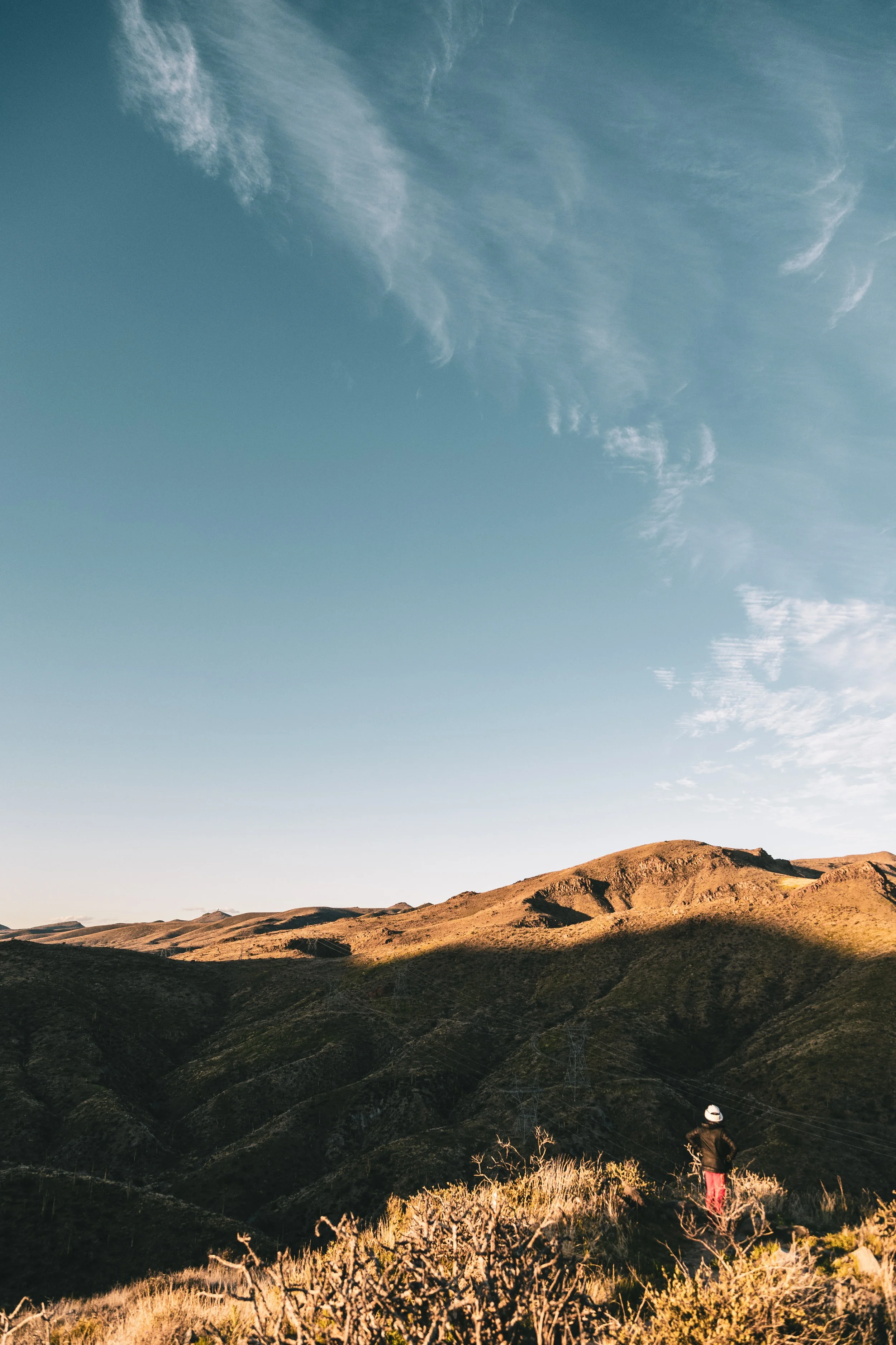 Postcard 99-4949.jpg