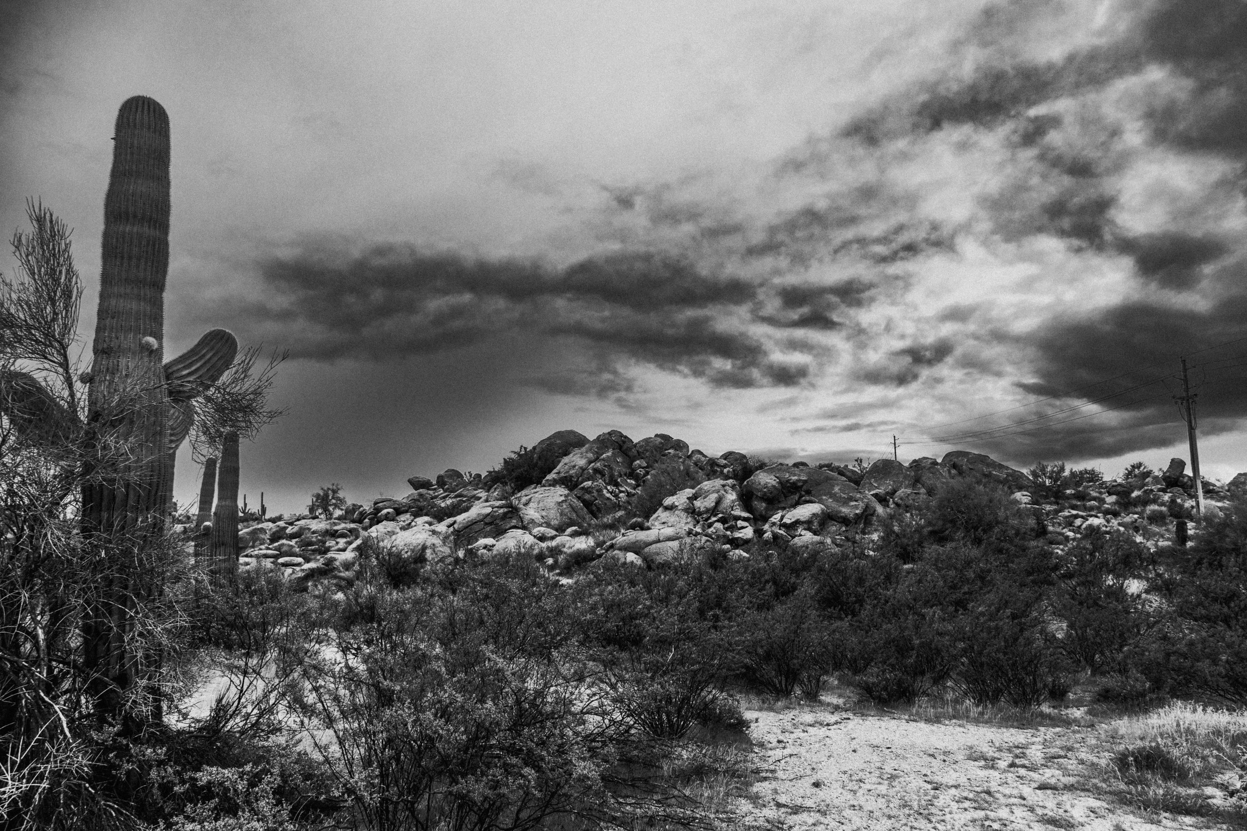 Postcard 106-5302.jpg