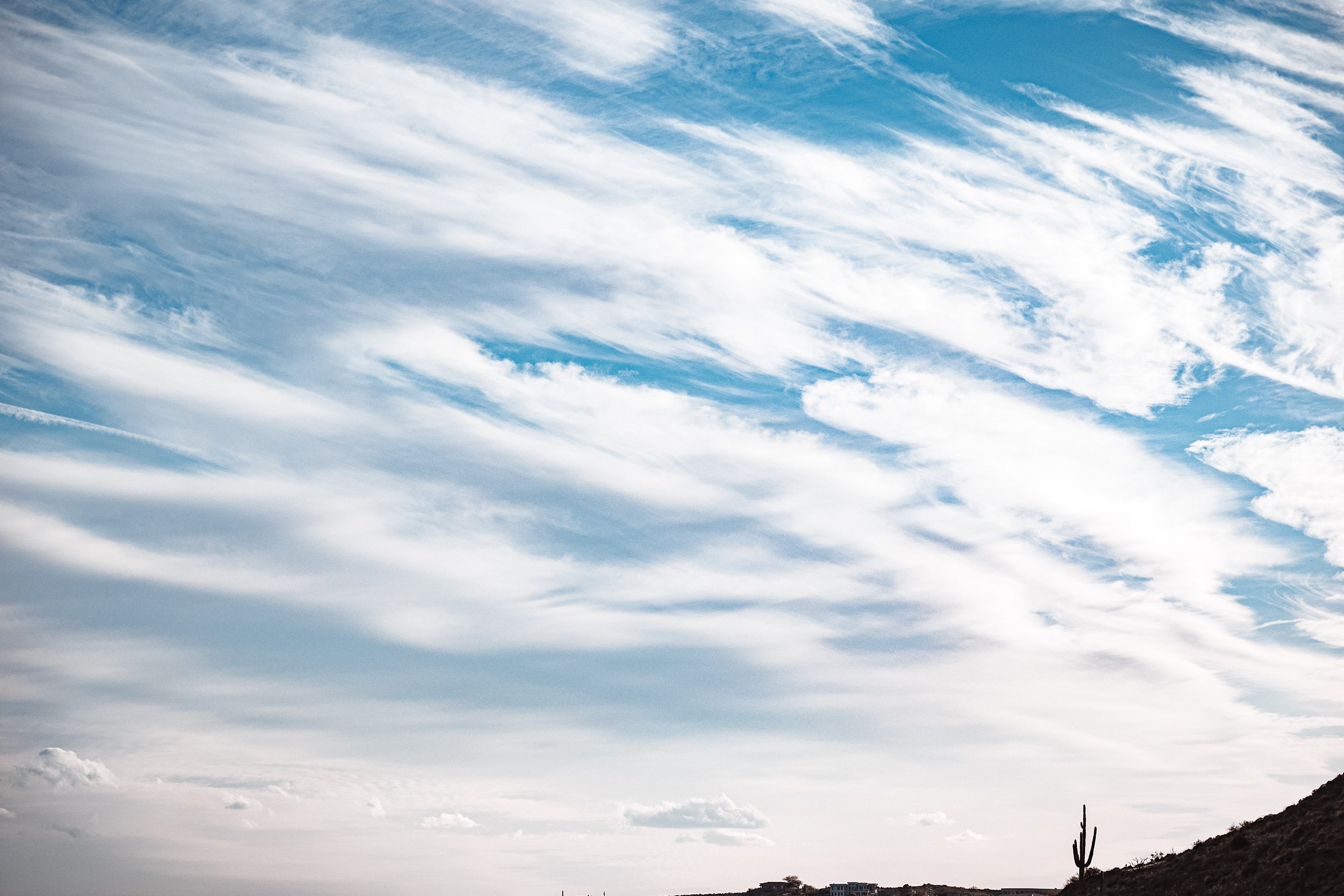 Postcard 95-4871.jpg