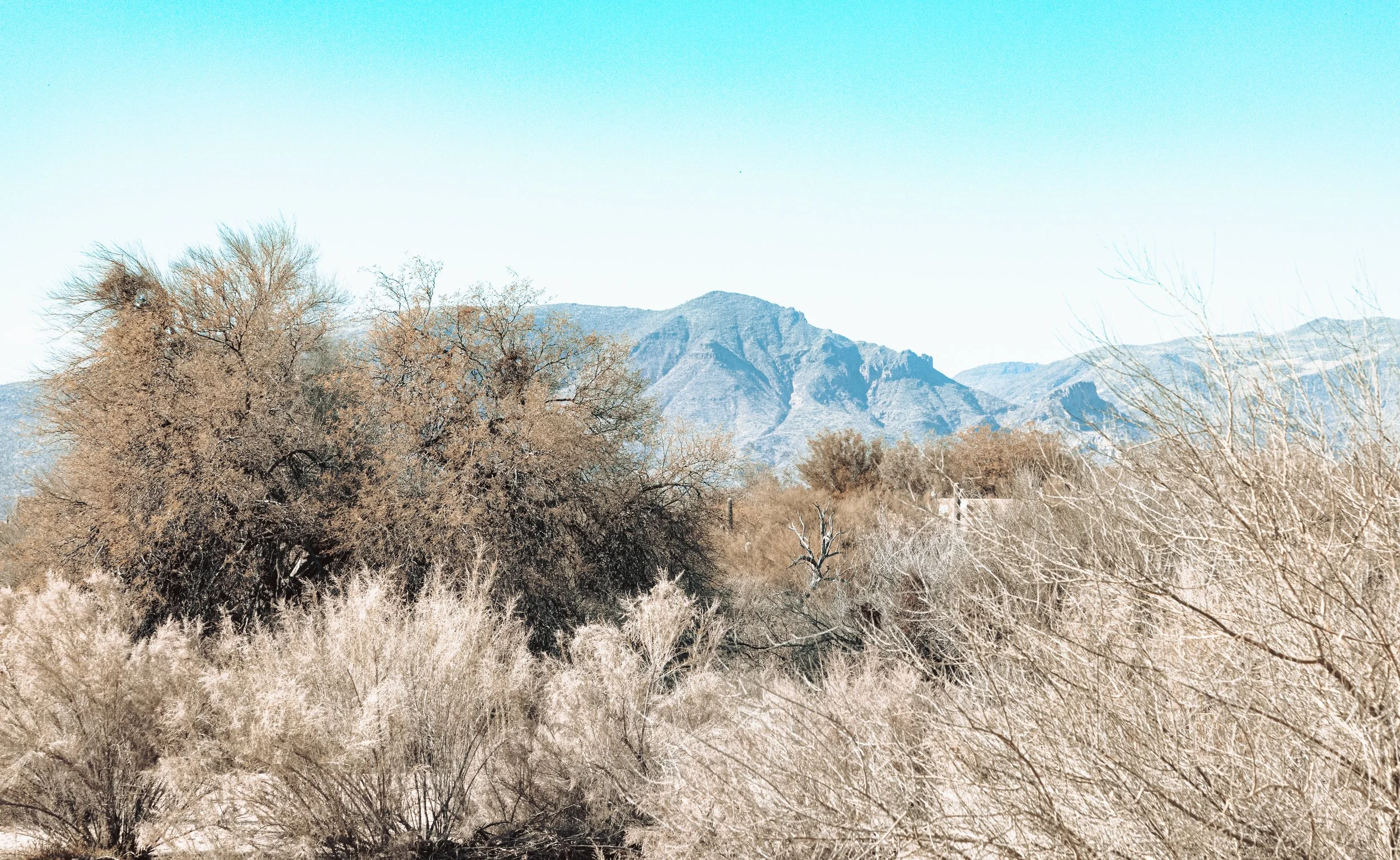 Landscape Arizona-4080.jpg