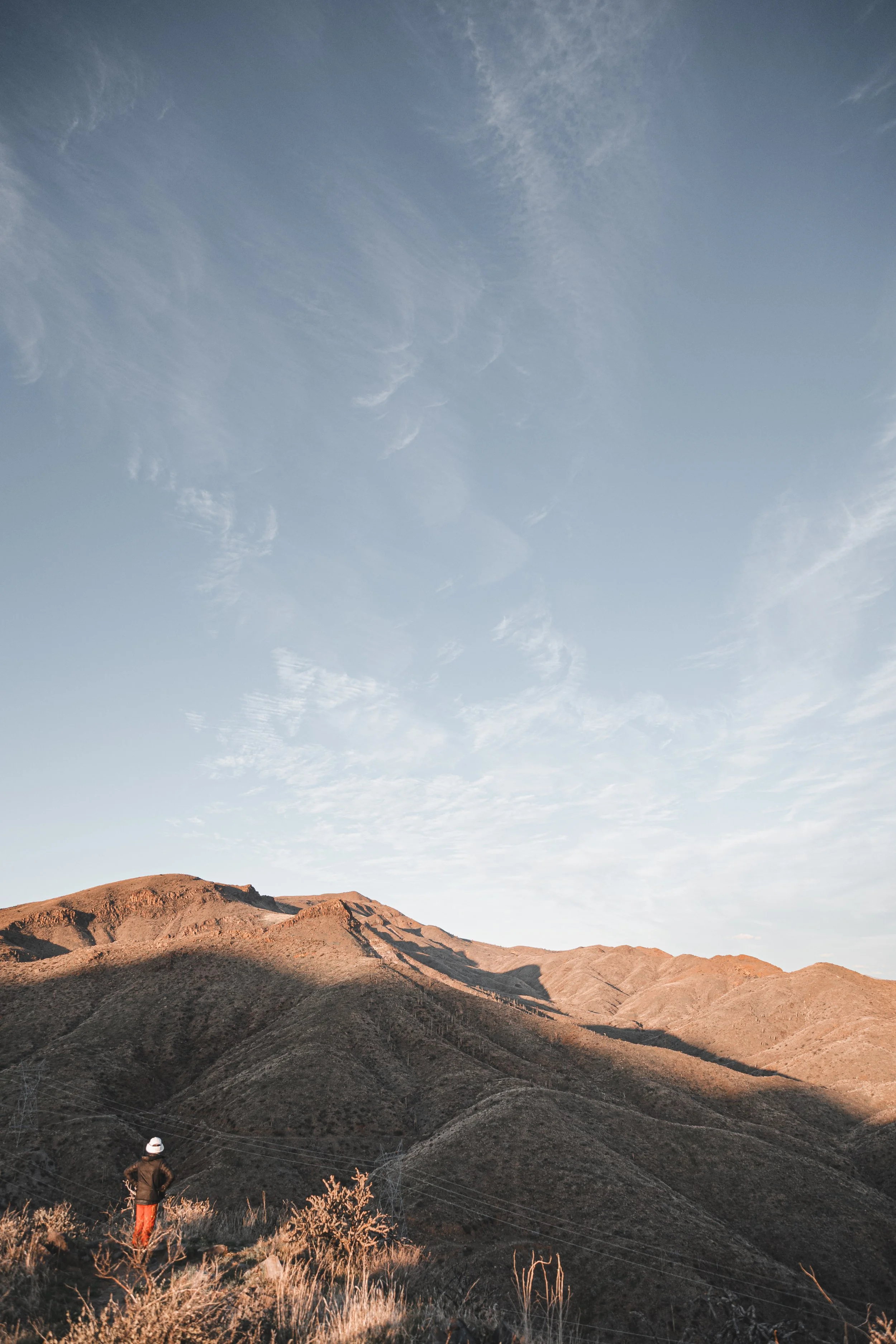 Postcard 100-4953.jpg