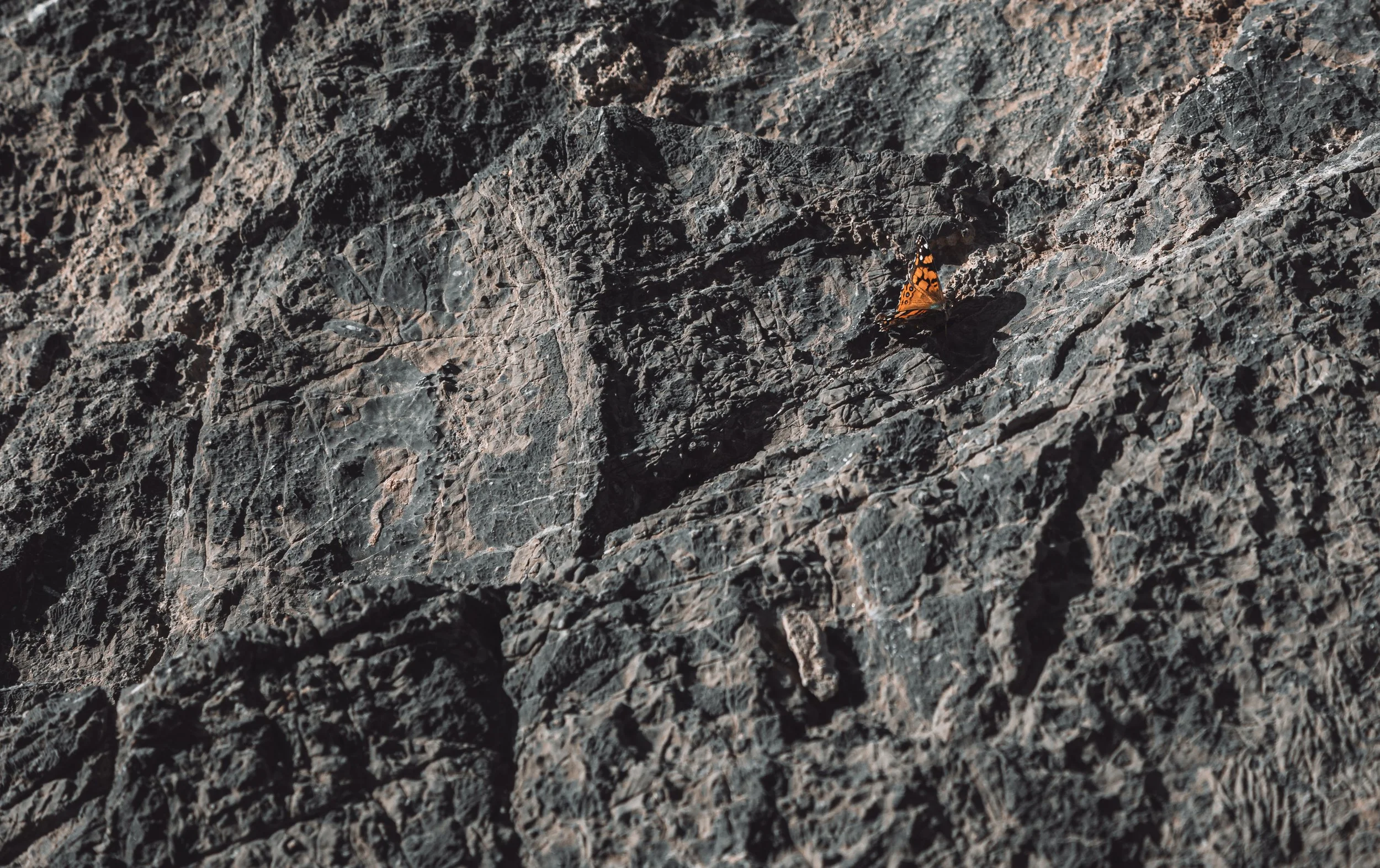 Postcard 151-6007.jpg