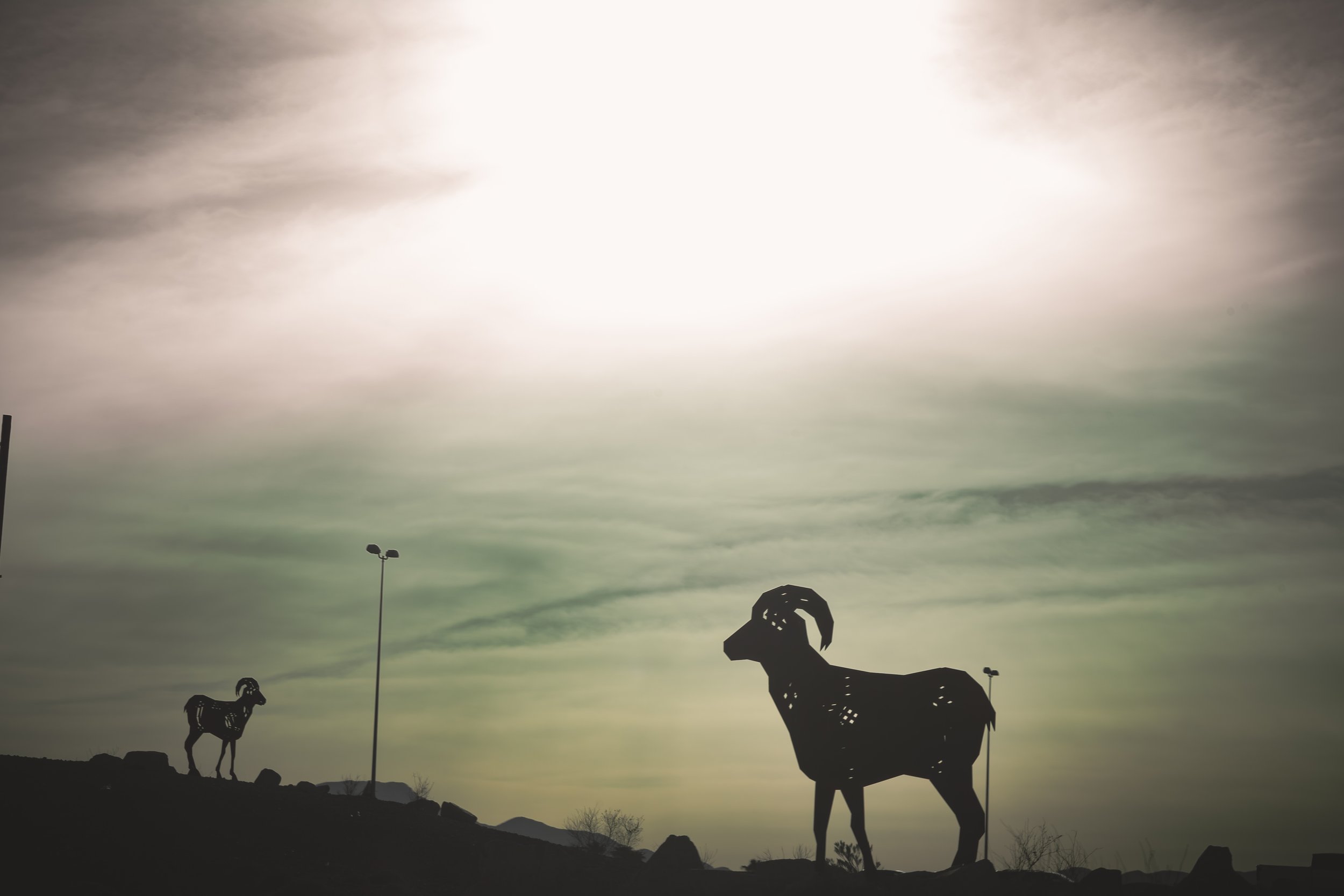 Postcard 159 goats-.jpg