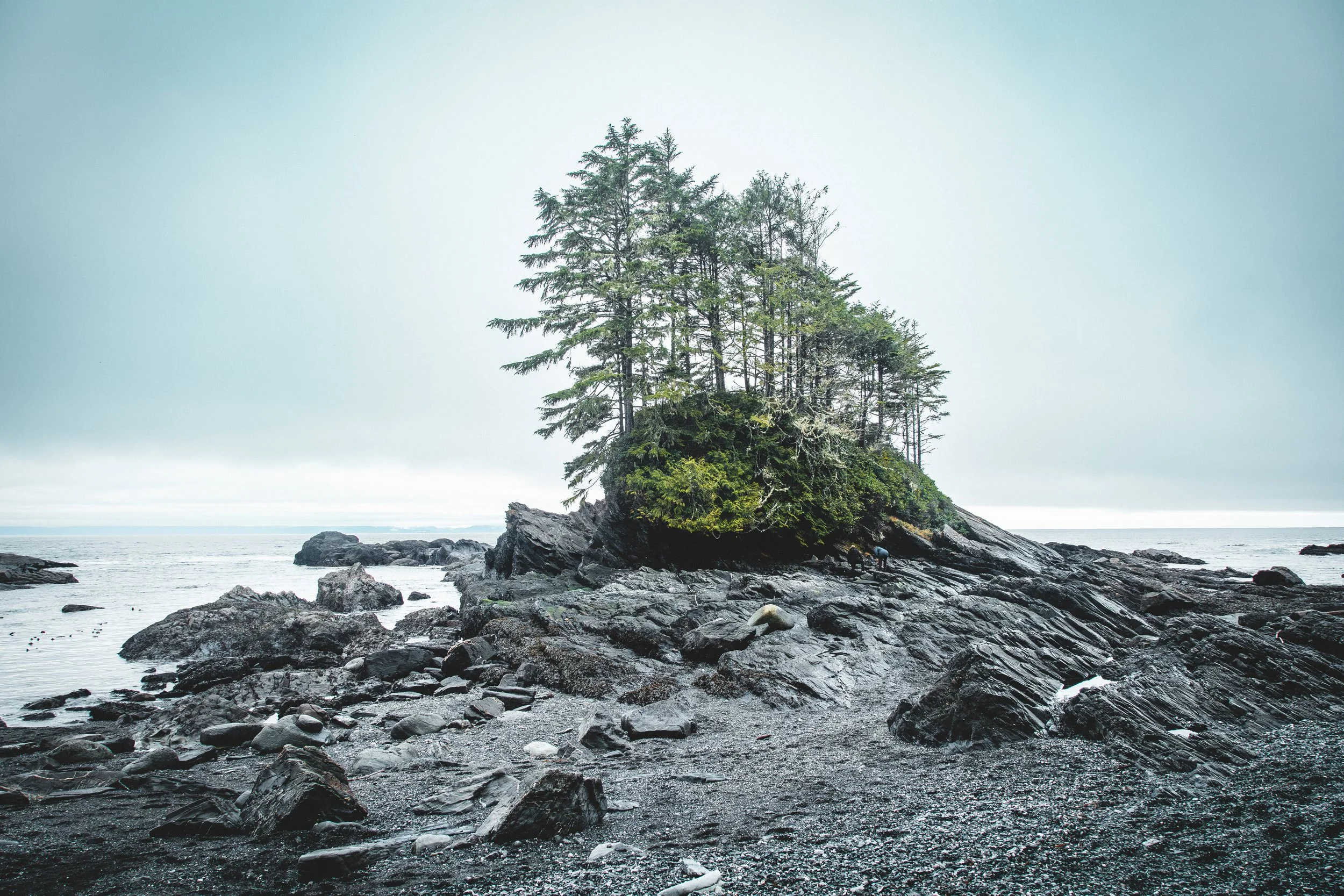 Beach Scene5 Botany Bay NE MOMENT-5964.jpg
