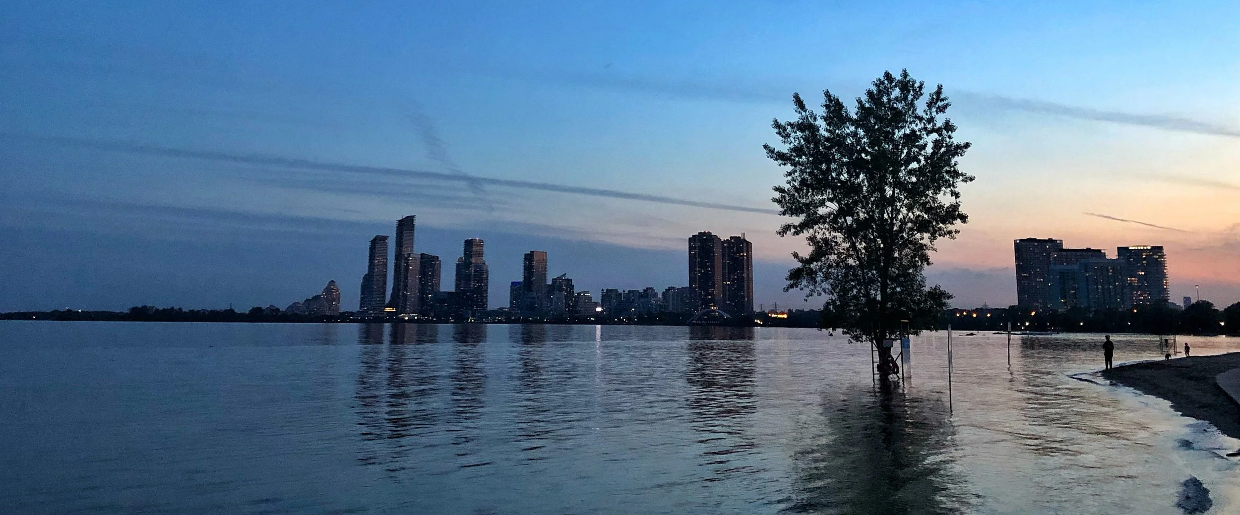 CIty Water Trees.jpg