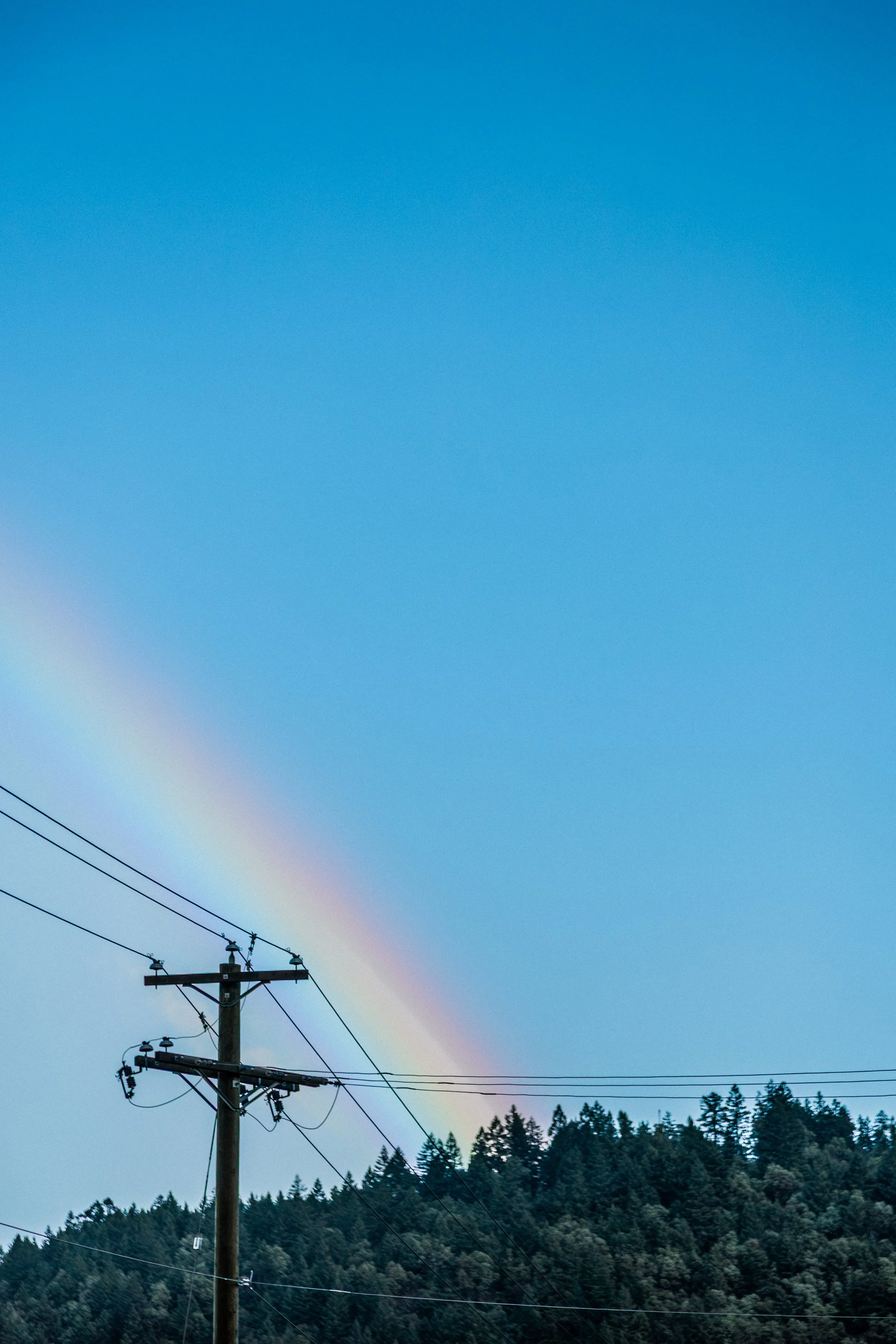 Chemainus Rainbow 14-6426.jpg