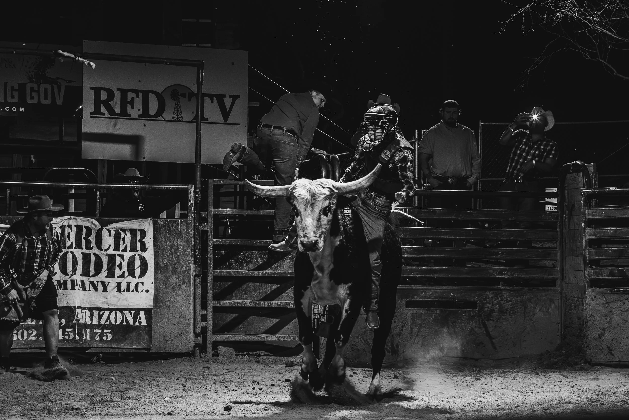 Bull Rider 9 bw-.jpg