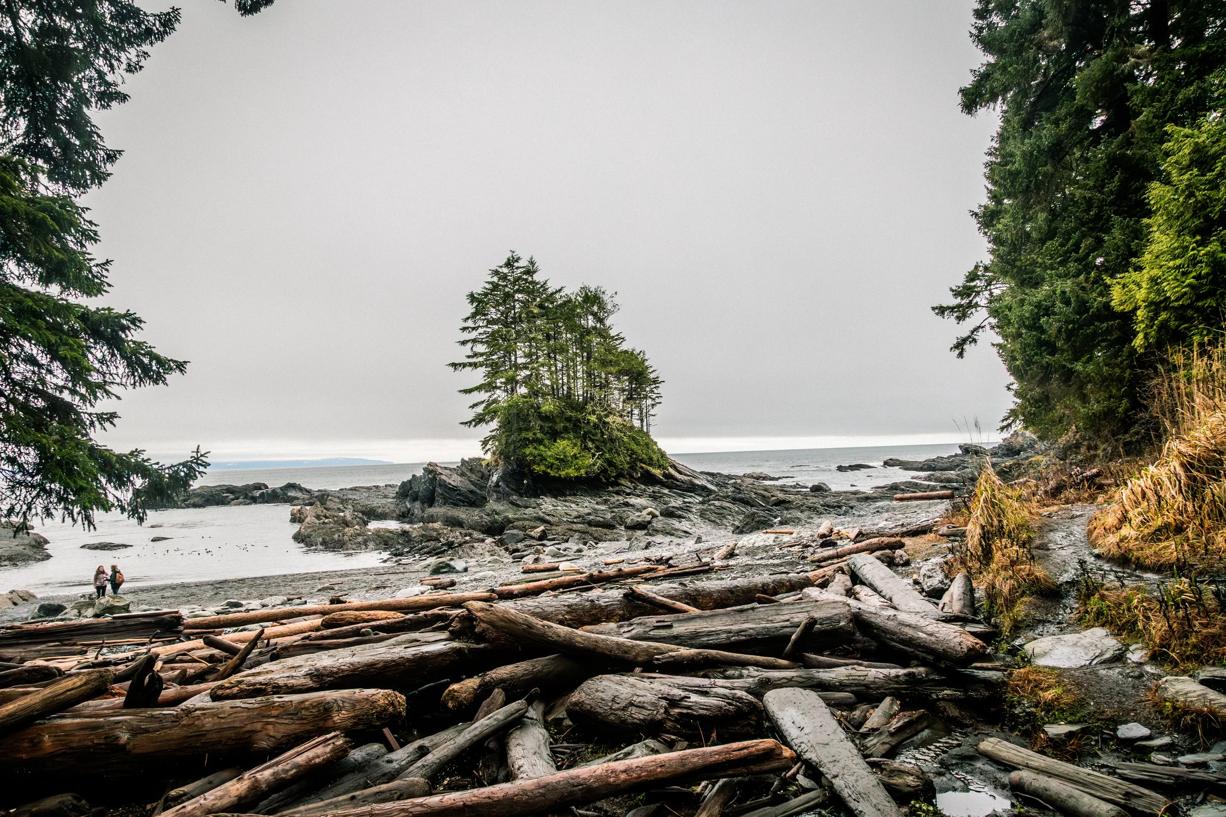 Beach Scene 2 NE MOMENT -5950.jpg