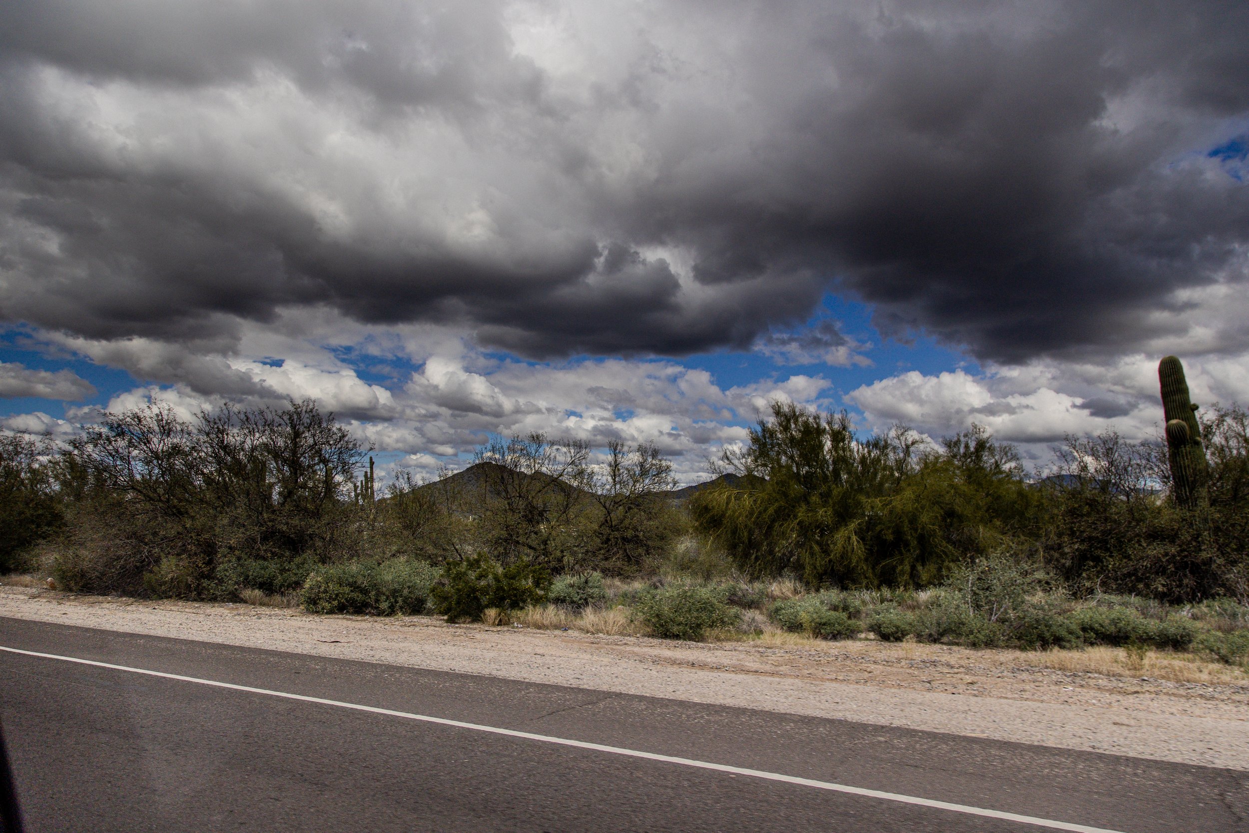 Postcard 117-5506.jpg