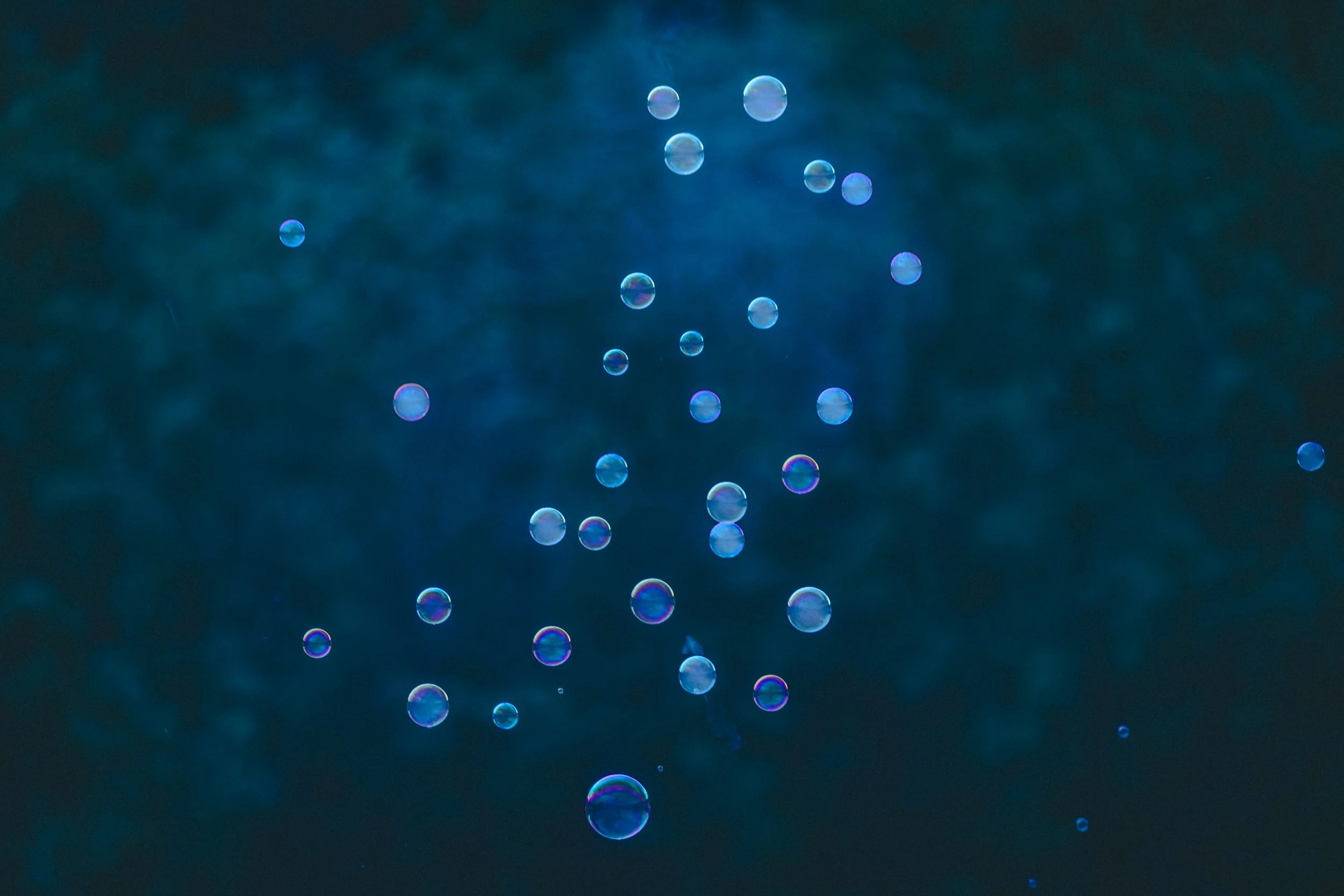 North Country Fair - Smoky Bubbles-6230.jpg