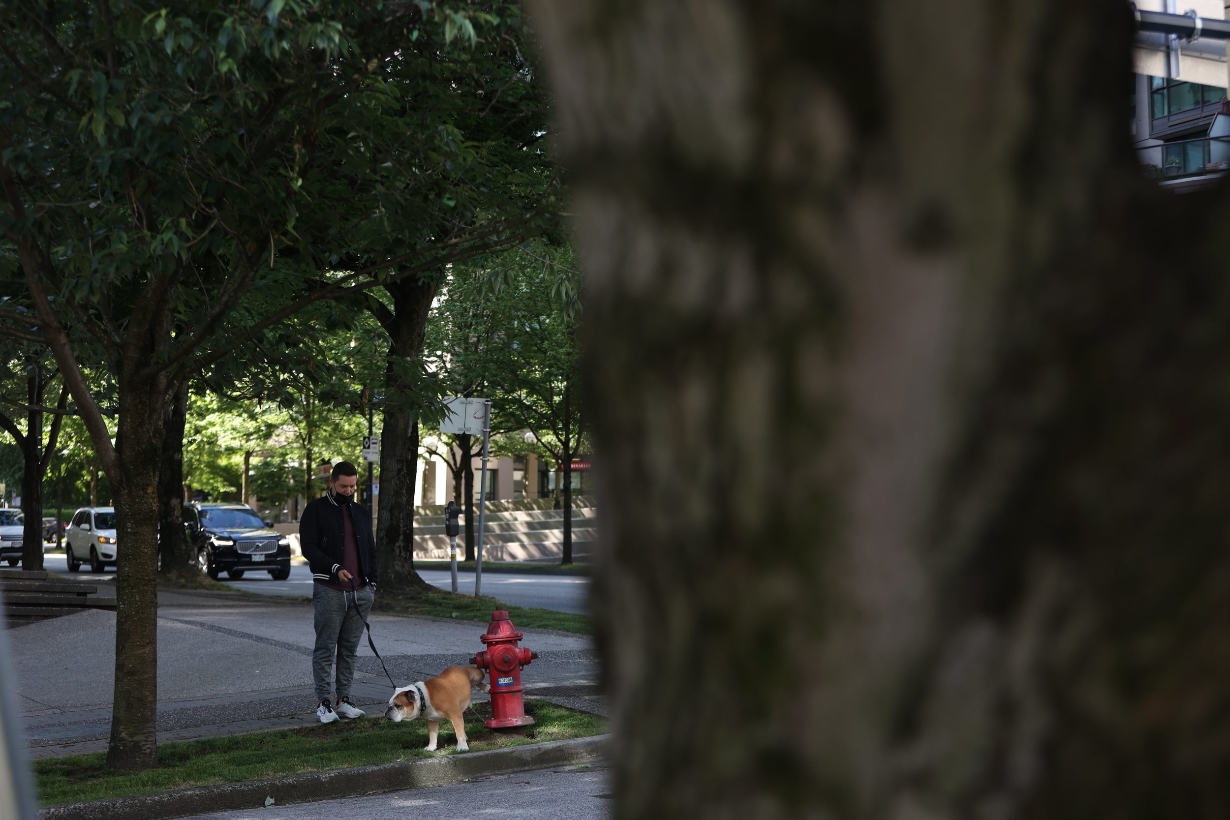 Bullodog Fire Hydrant - Lift and release.JPG