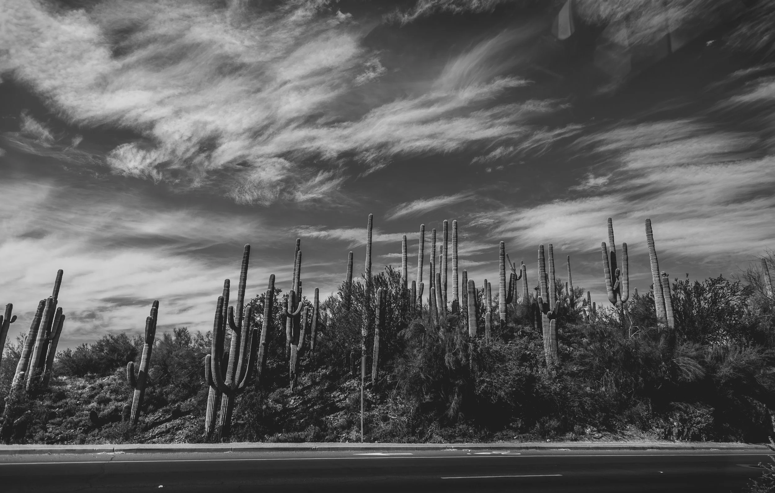 Portrait Landscape 65-.jpg