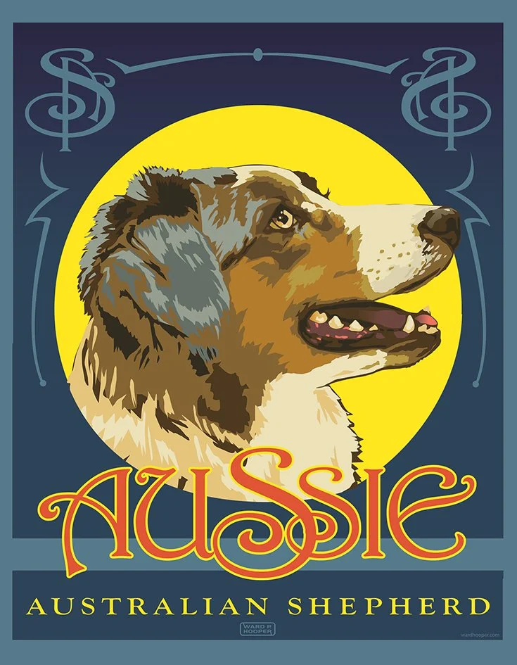 Australian Shepherd lores copy.jpg