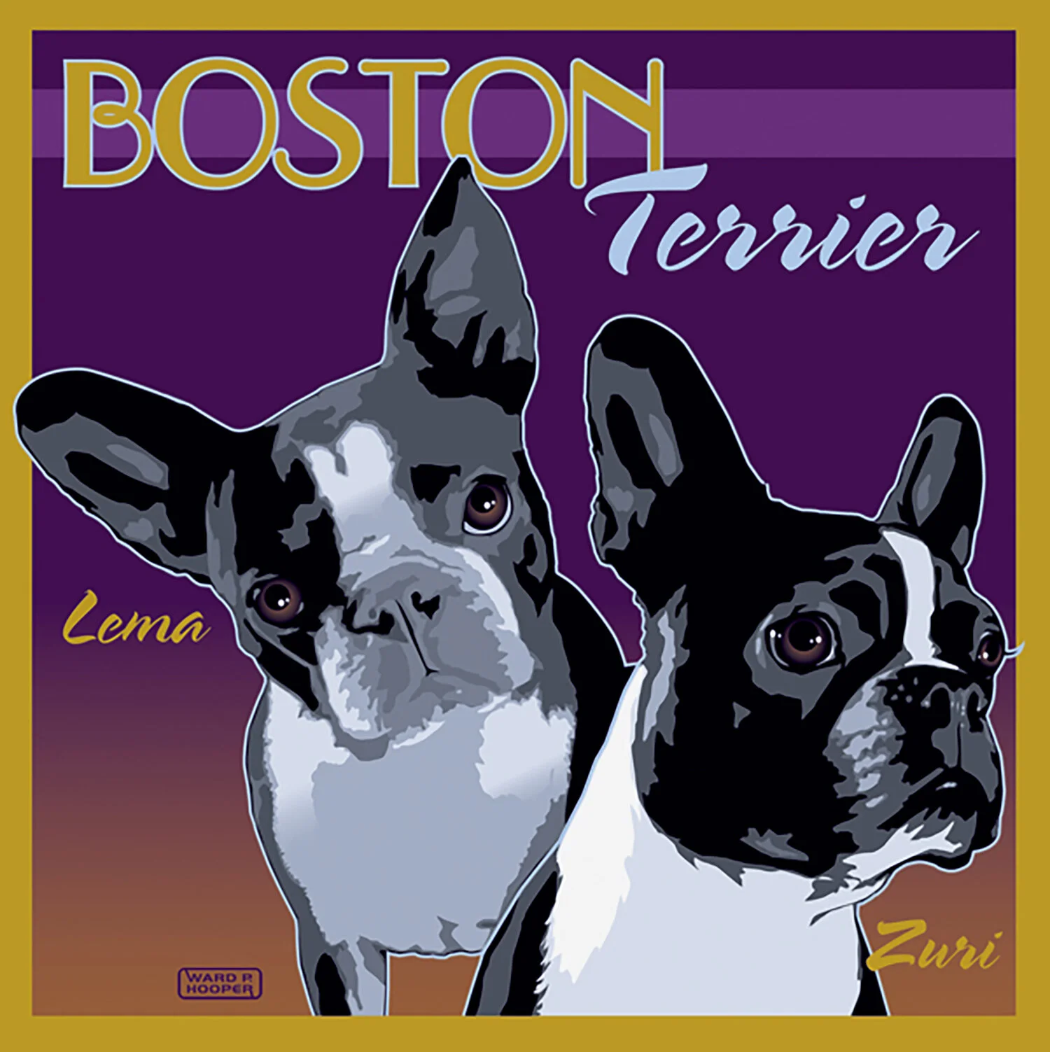 Boston Terrier II.jpg