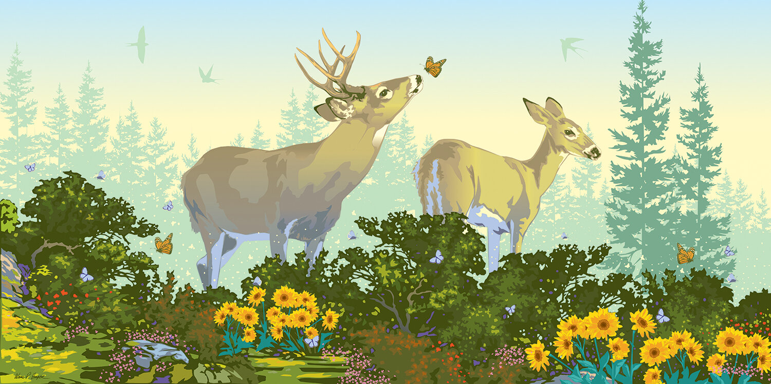 Spring Morning.jpg